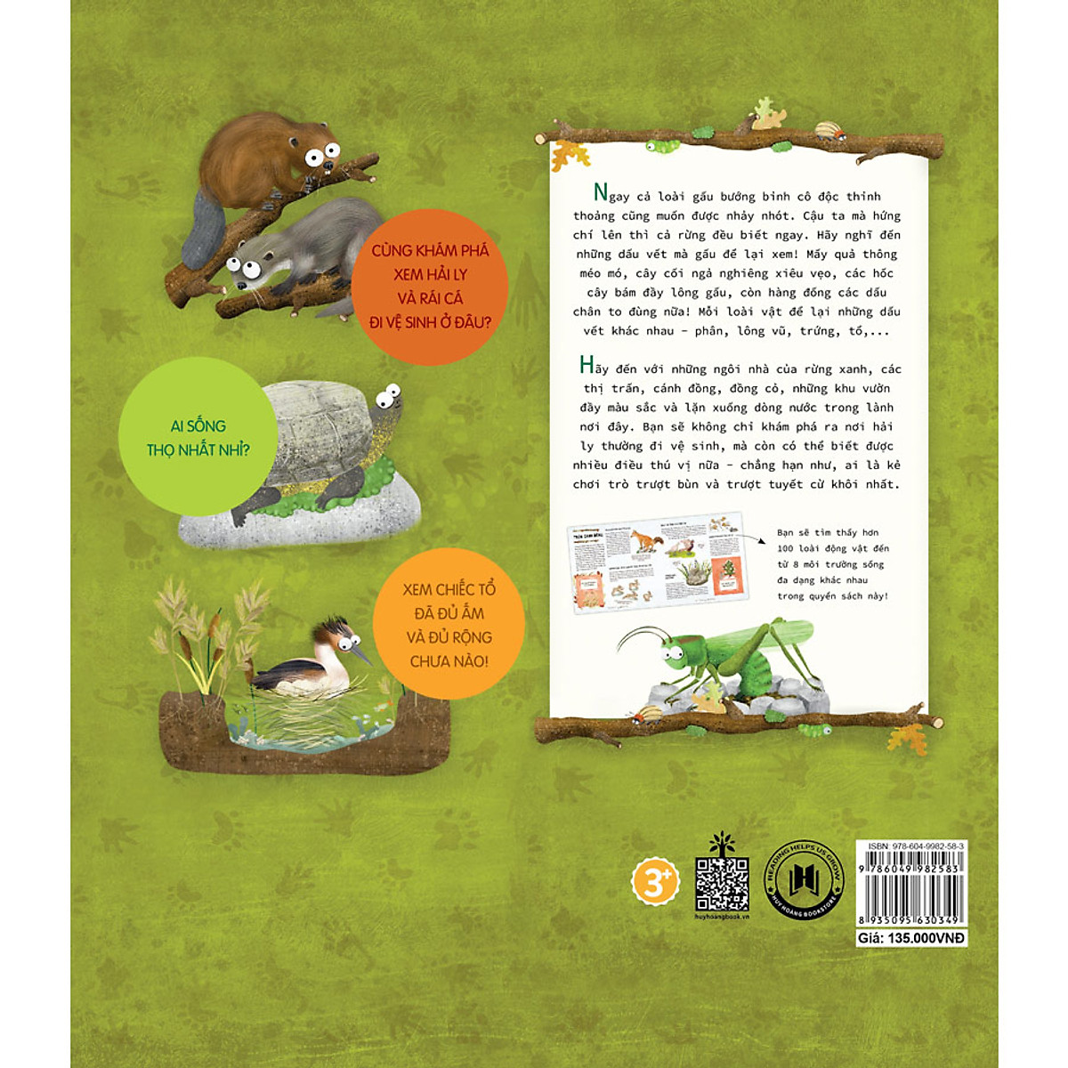 hải ly "giải quyết nỗi buồn" ở đâu - Ảnh 3