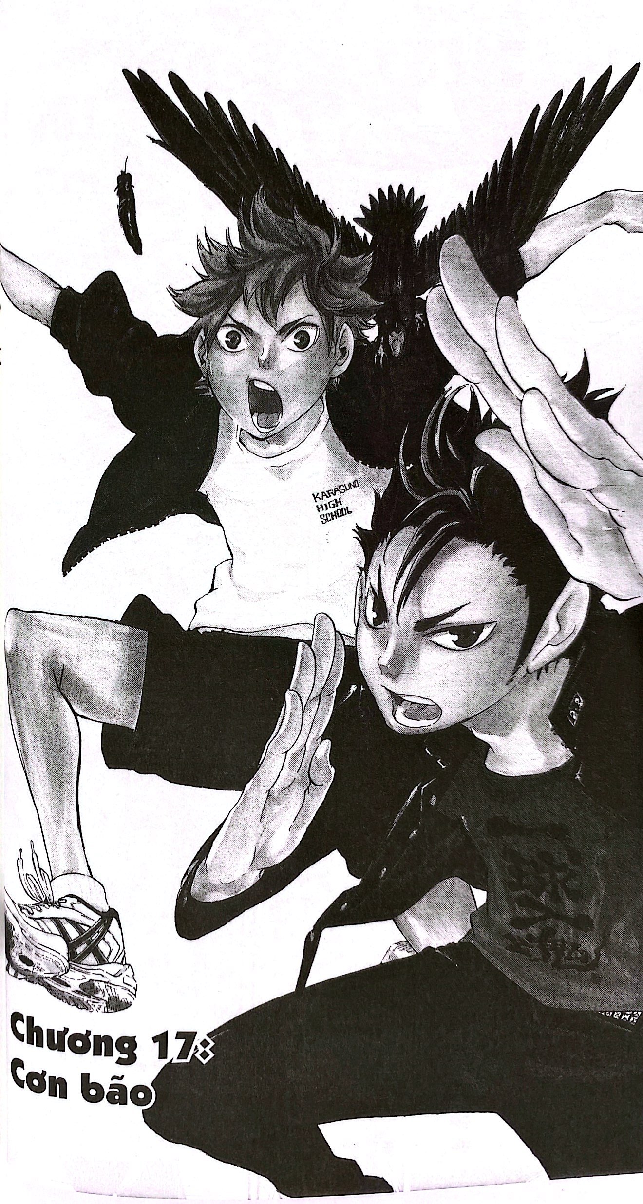 haikyu!! - tập 3 - khởi đầu của karasuno (tái bản 2024) - Ảnh 6