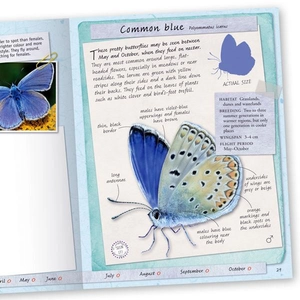 handbook - butterflies & moths - Ảnh 3