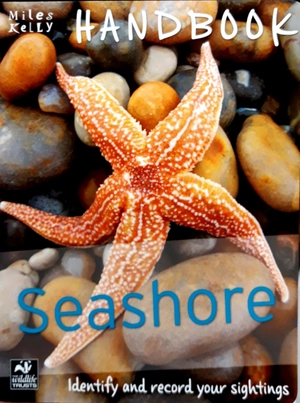 handbook - seashore - Ảnh 2