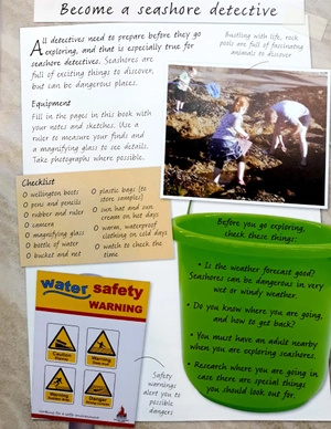 handbook - seashore - Ảnh 4