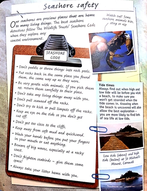 handbook - seashore - Ảnh 5