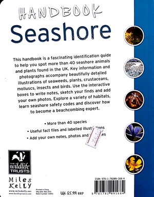 handbook - seashore - Ảnh 6