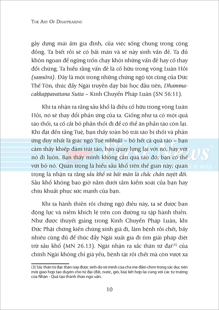 hạnh phúc đến từ sự biến mất (tái bản 2022) - Ảnh 7