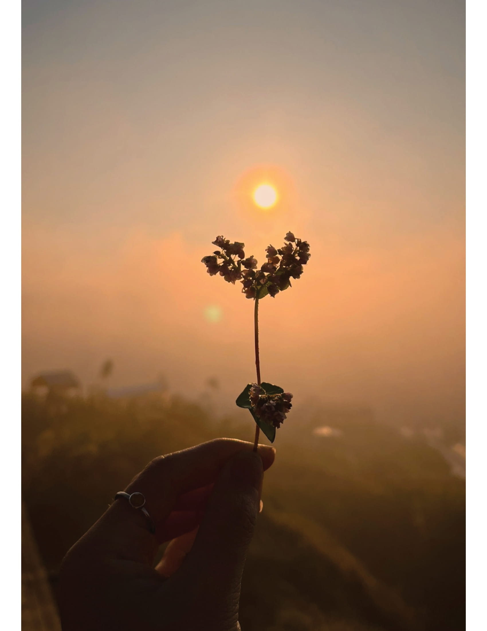 Hạnh Phúc Đủ Đầy - 10 Nguyên Tắc Cho Cuộc Sống Giản Đơn Mà Đầy Màu Sắc - Ảnh 7