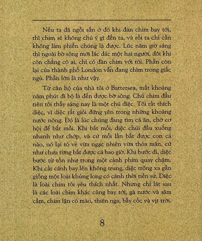 hành trình của cá voi (tái bản 2023) - Ảnh 6