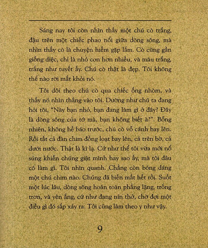 hành trình của cá voi (tái bản 2023) - Ảnh 7