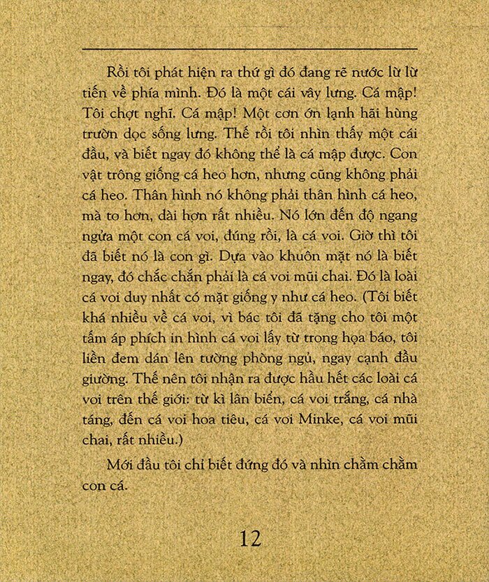 hành trình của cá voi (tái bản 2023) - Ảnh 8
