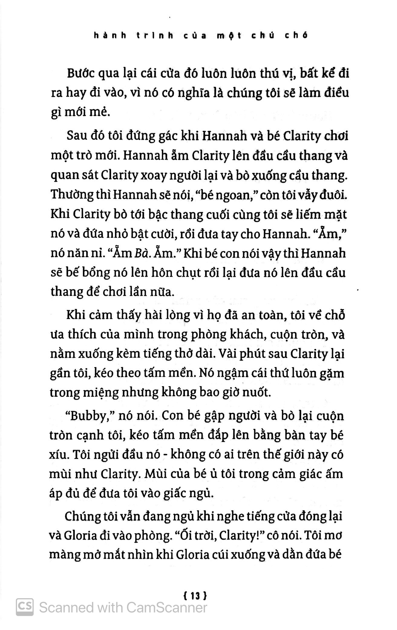 hành trình của một chú chó - Ảnh 10