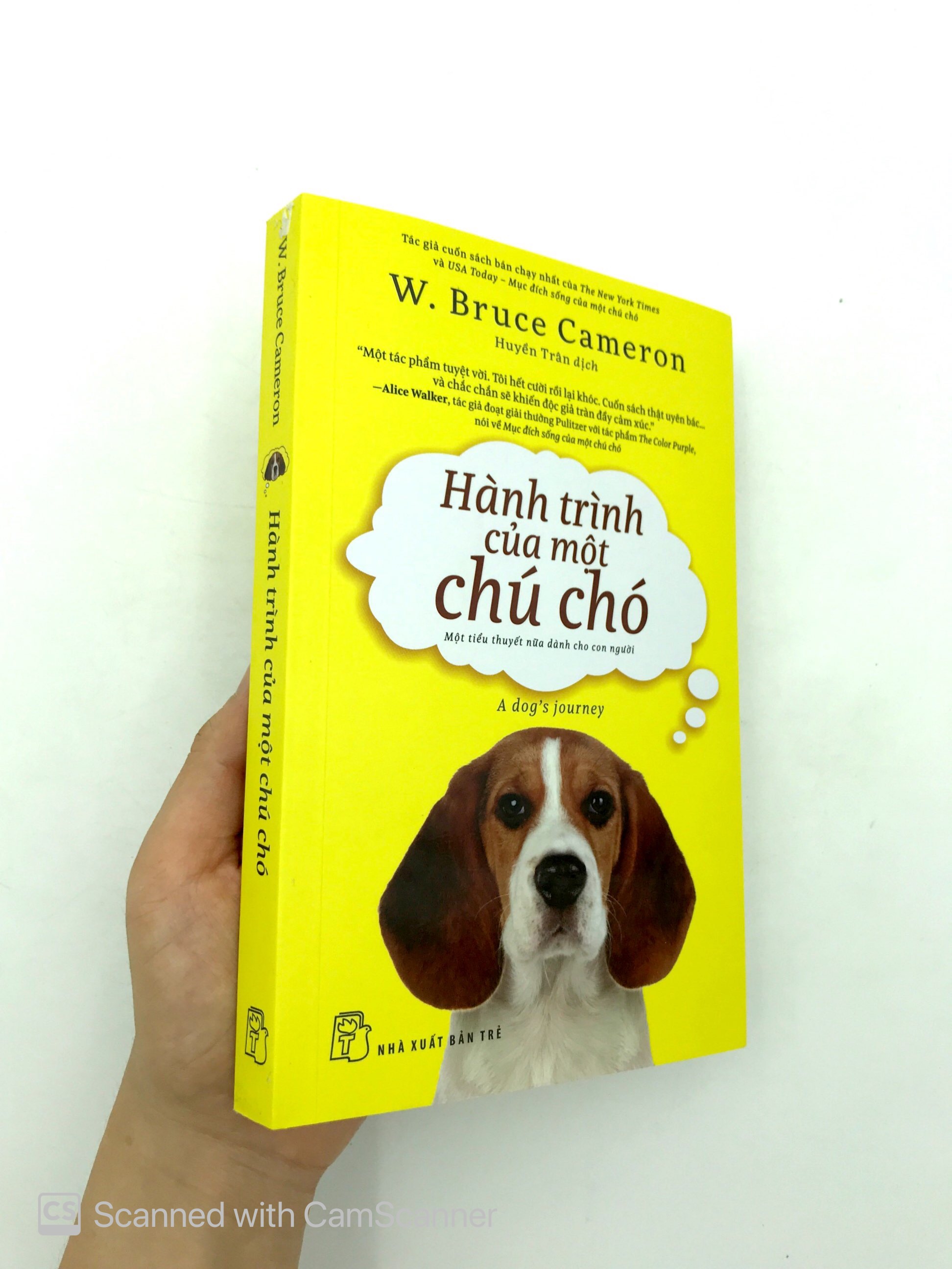 hành trình của một chú chó - Ảnh 13