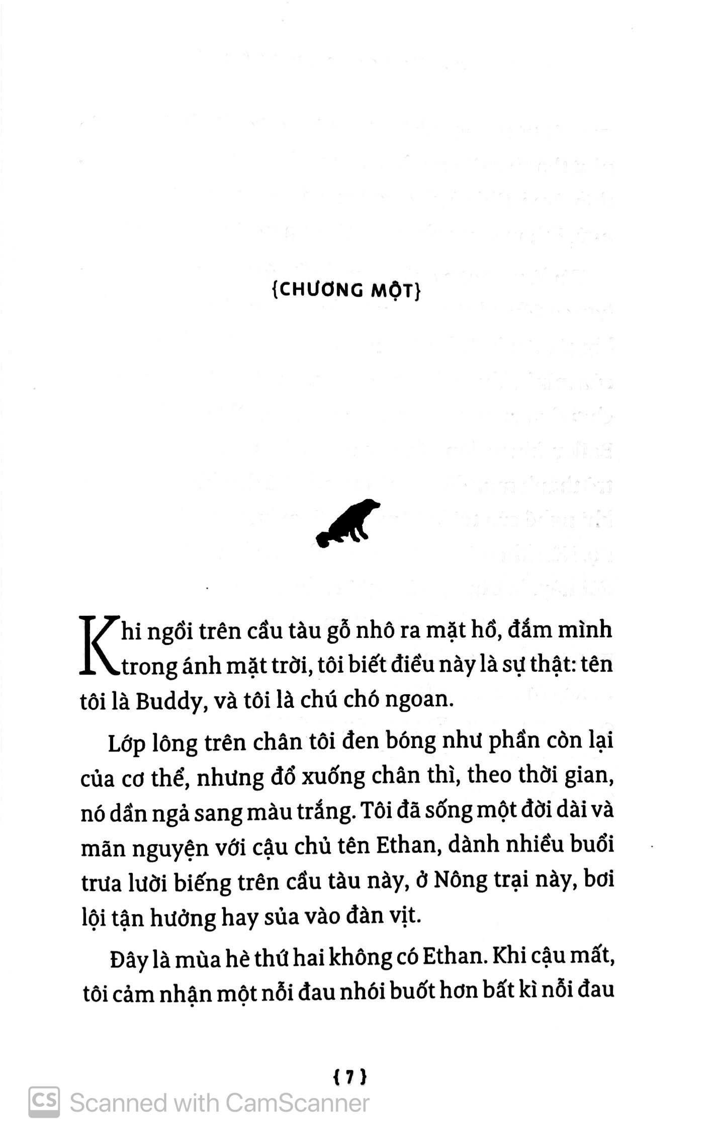 hành trình của một chú chó - Ảnh 4