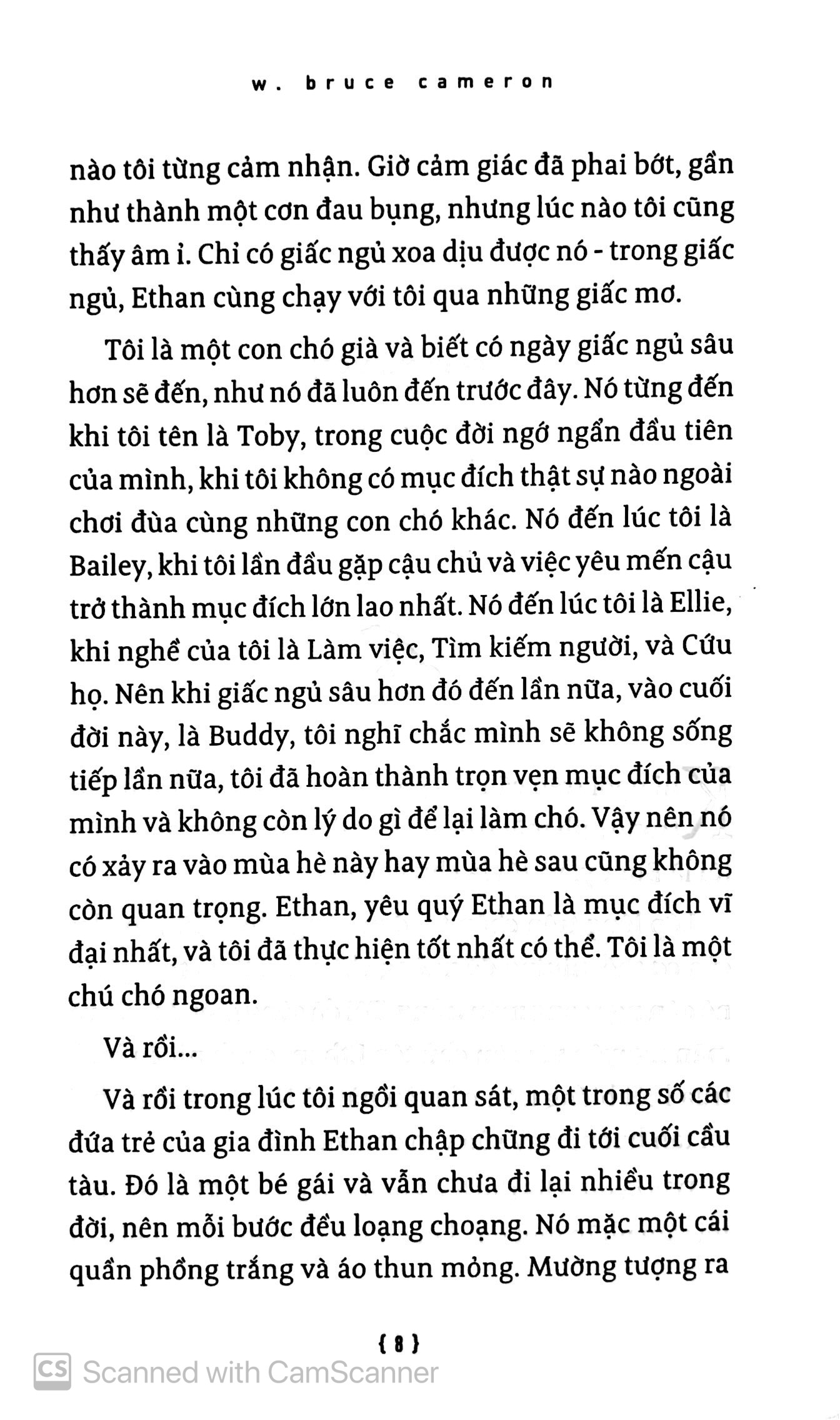 hành trình của một chú chó - Ảnh 5