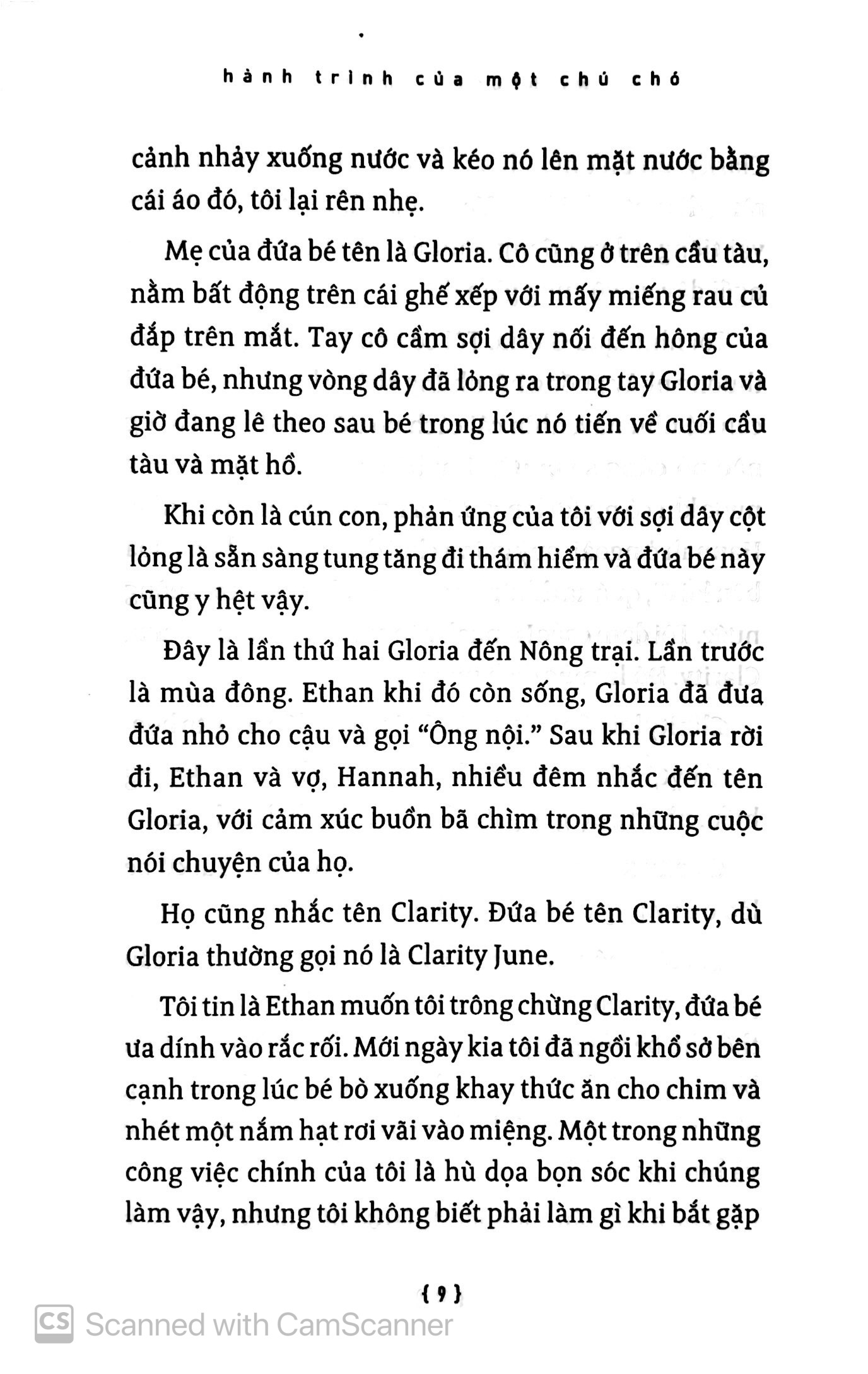 hành trình của một chú chó - Ảnh 6