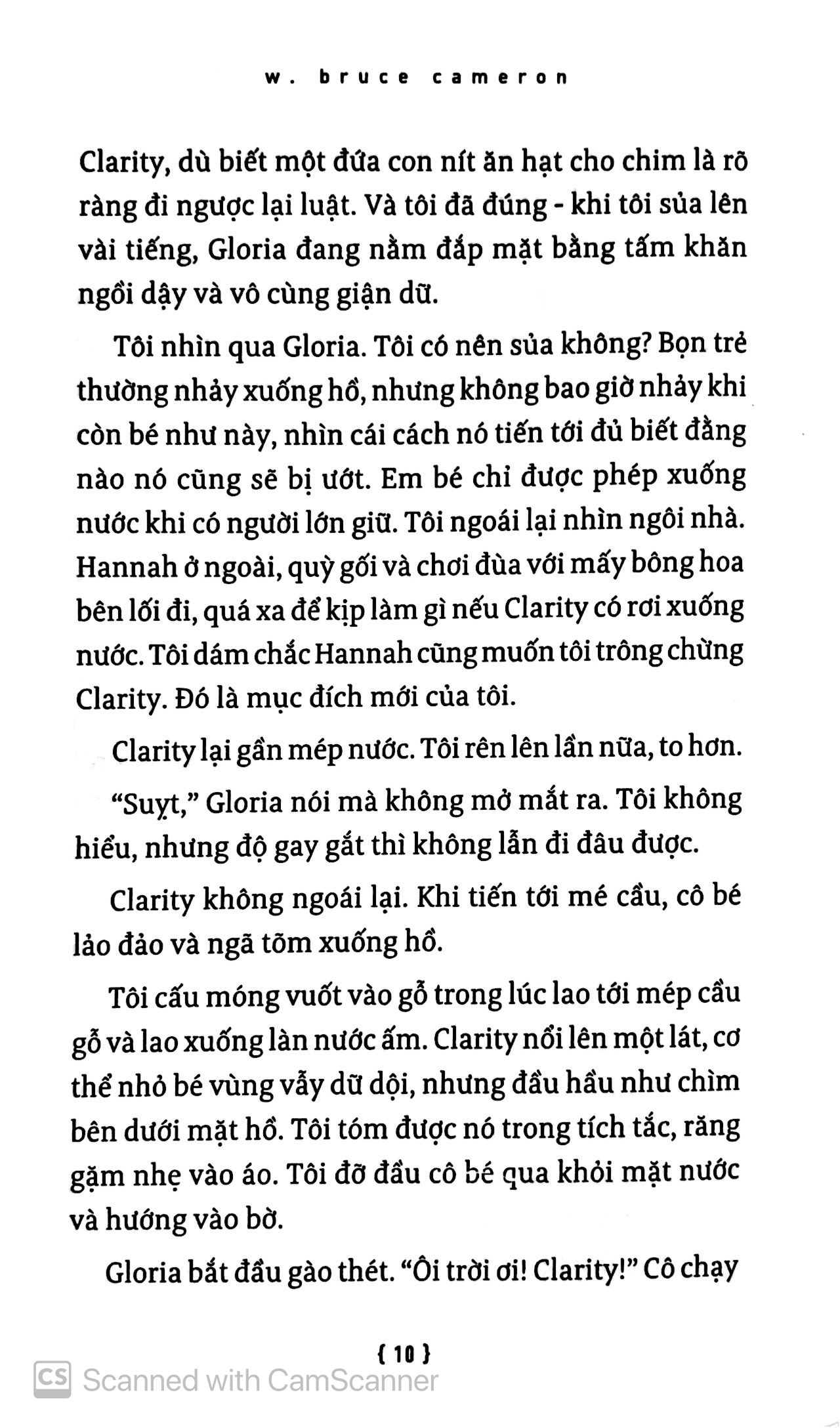 hành trình của một chú chó - Ảnh 7