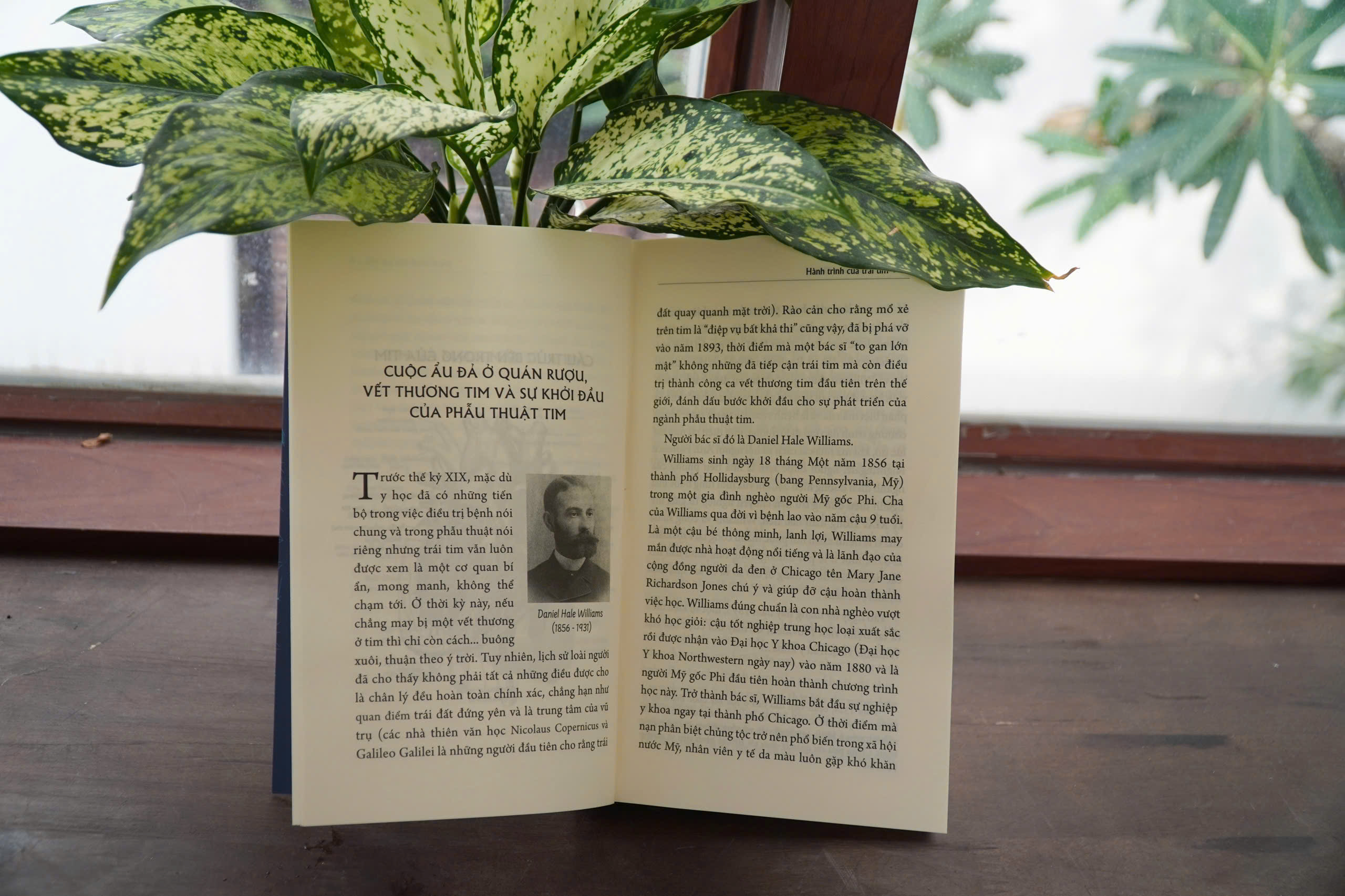 Hanh Trinh Cua Trai Tim - Luoc Su Hinh Thanh Va Phat Trien Cua Nganh Phau Thuat Tim - Ảnh 6