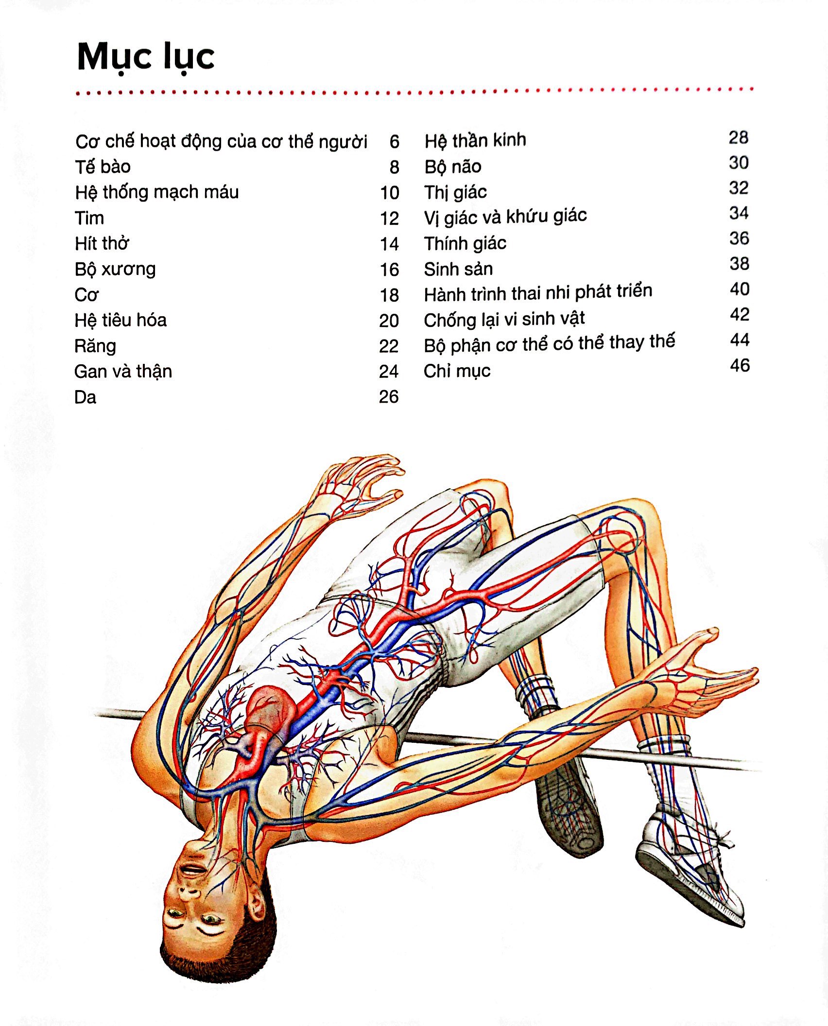 hành trình khám phá - cơ thể người - bìa cứng - Ảnh 3