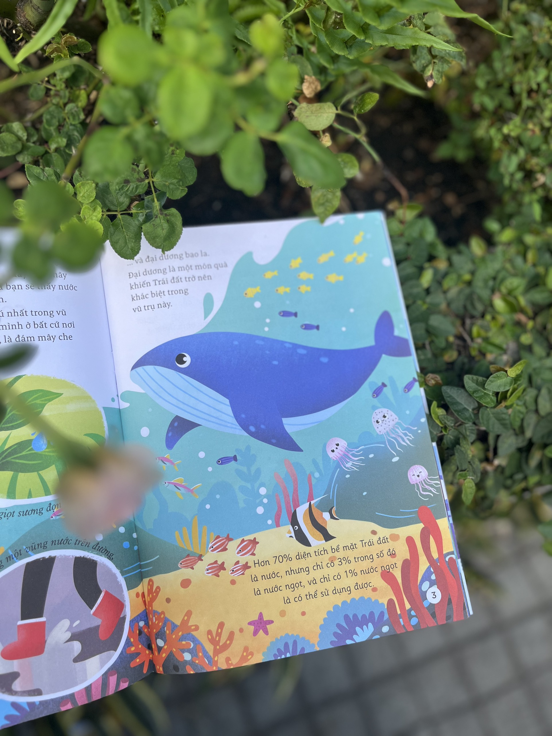 hành trình khám phá - con đường của nước - Ảnh 2