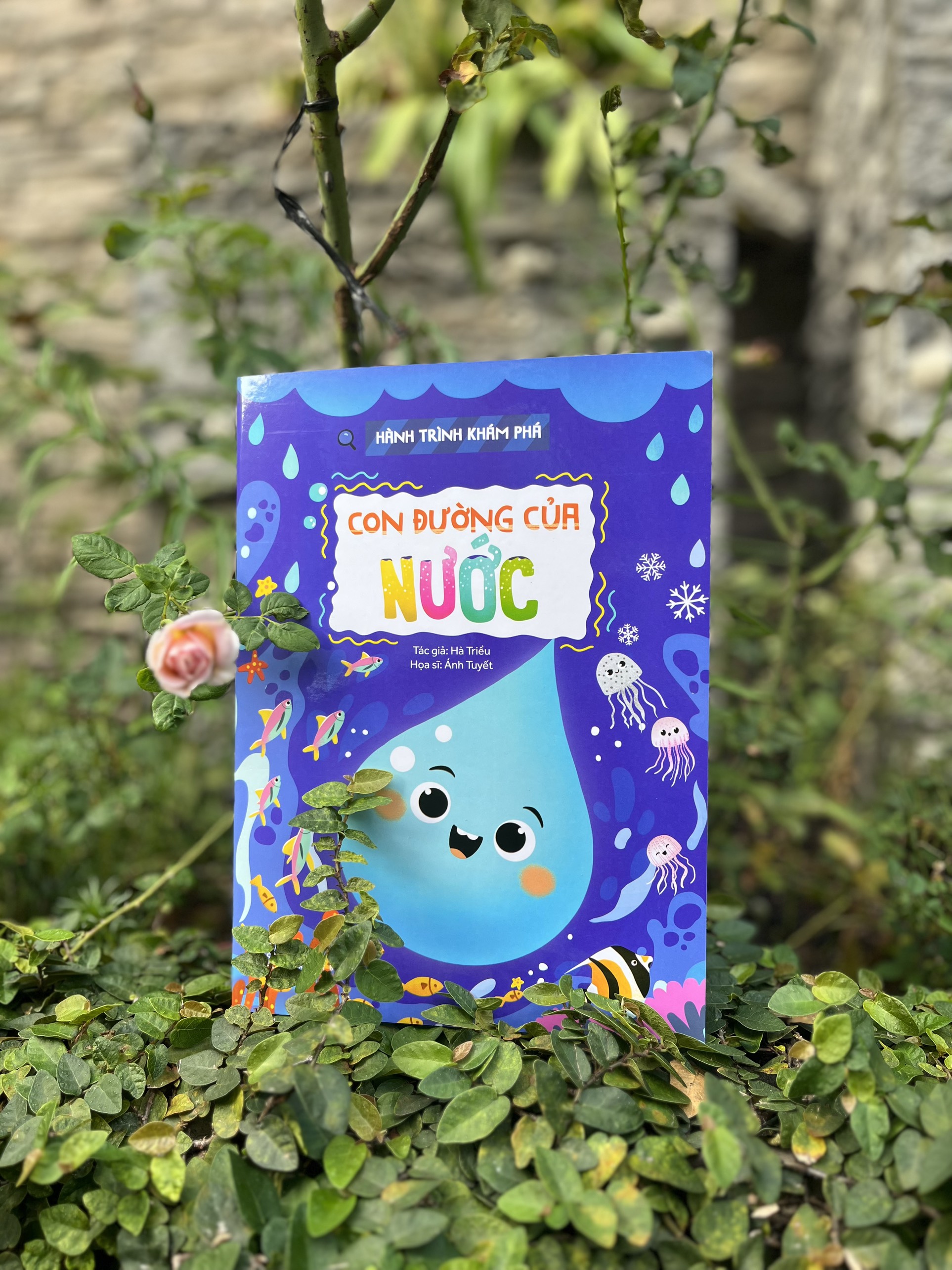 hành trình khám phá - con đường của nước - Ảnh 4