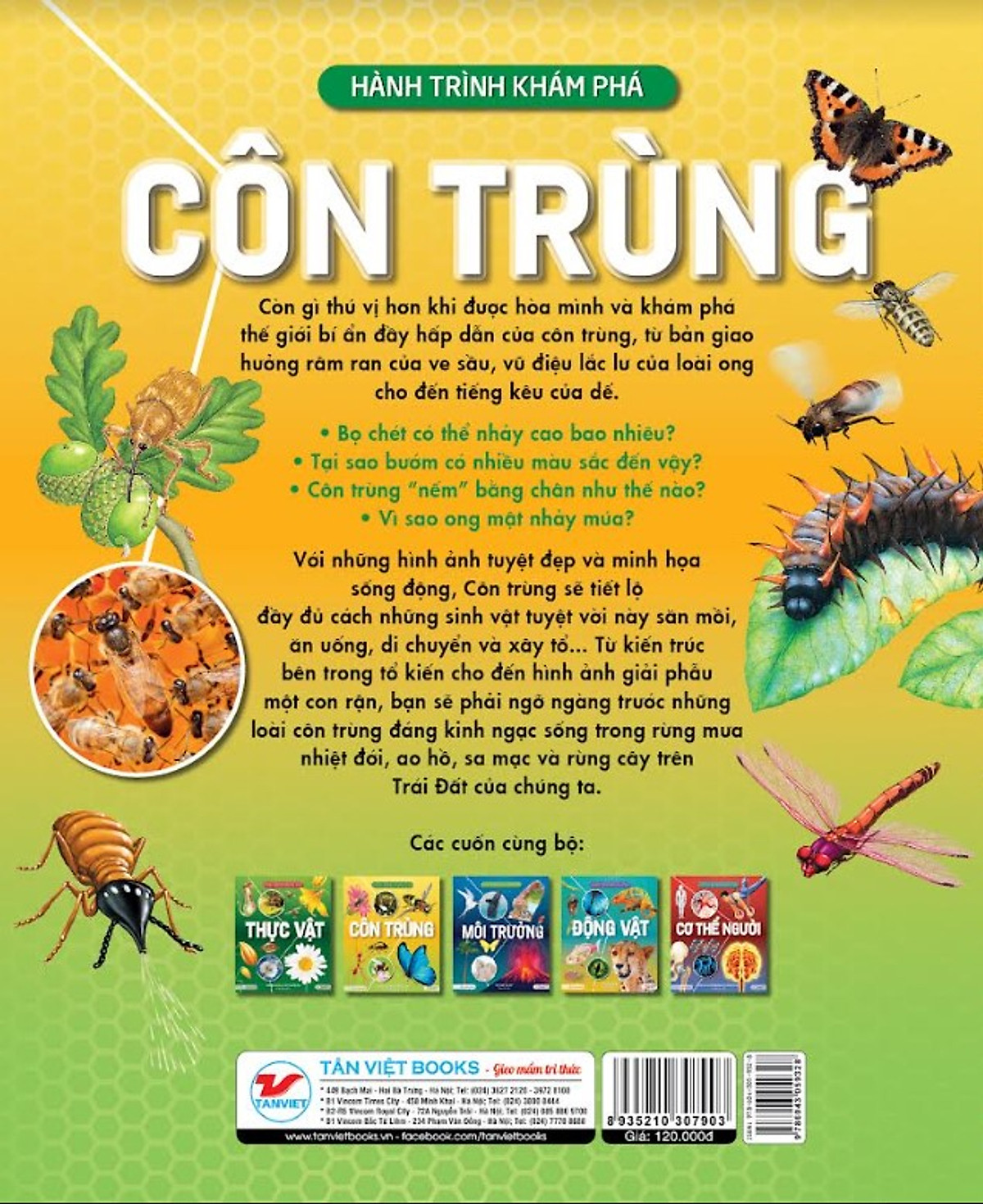 hành trình khám phá - côn trùng - bìa cứng - Ảnh 5