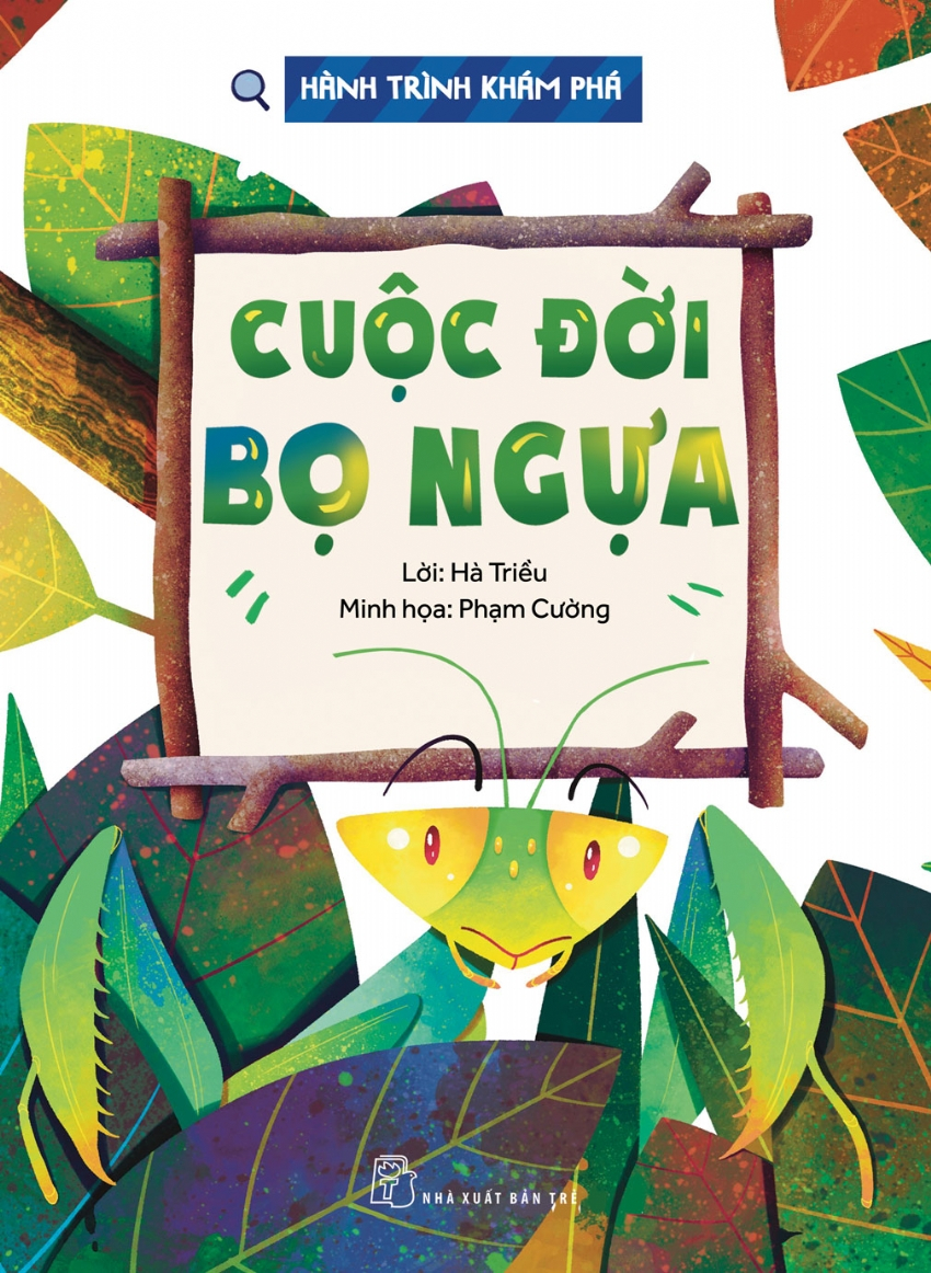 hành trình khám phá - cuộc đời bọ ngựa - Ảnh 2