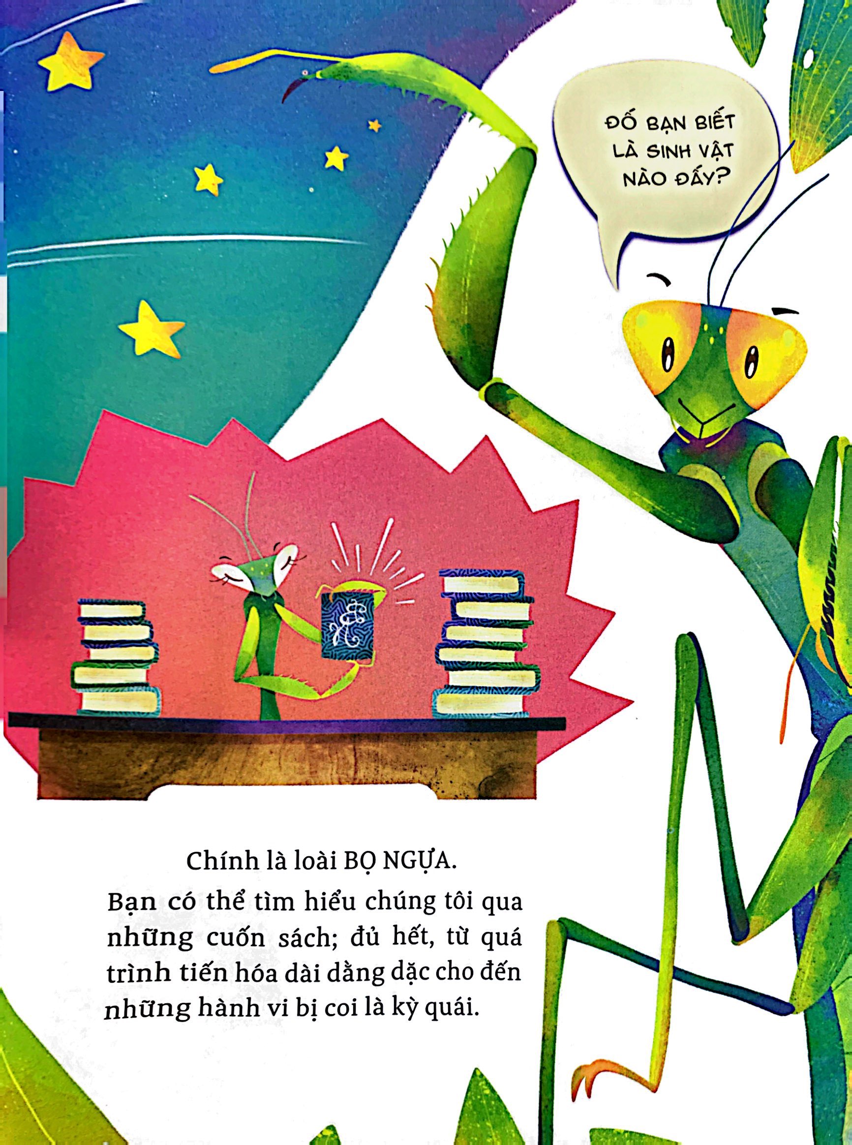 hành trình khám phá - cuộc đời bọ ngựa - Ảnh 5