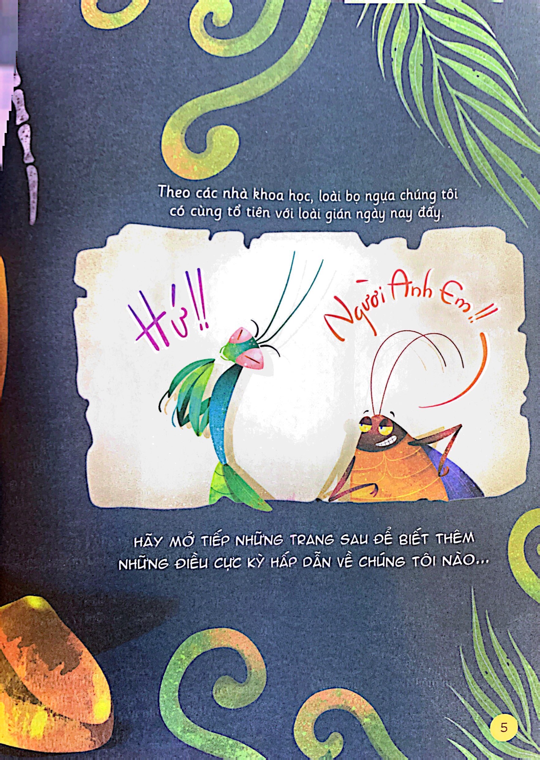 hành trình khám phá - cuộc đời bọ ngựa - Ảnh 7