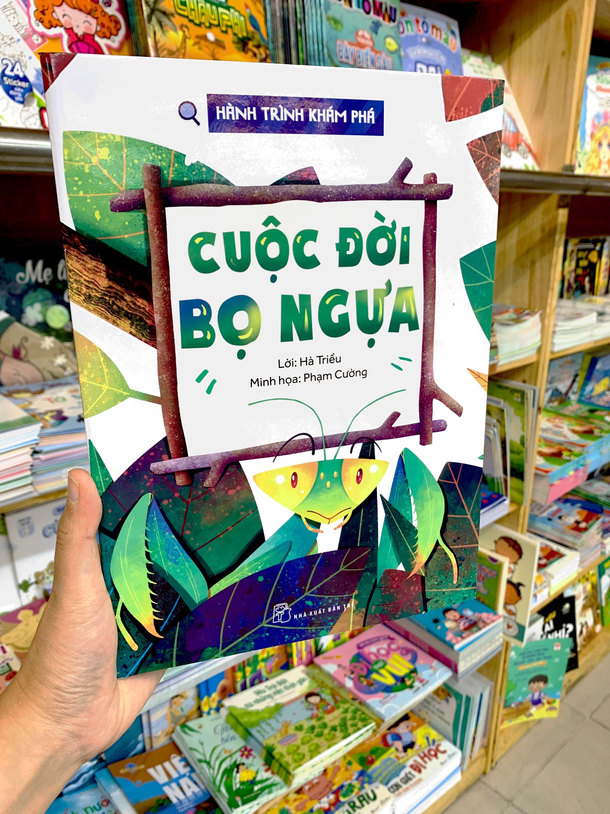 hành trình khám phá - cuộc đời bọ ngựa - Ảnh 9