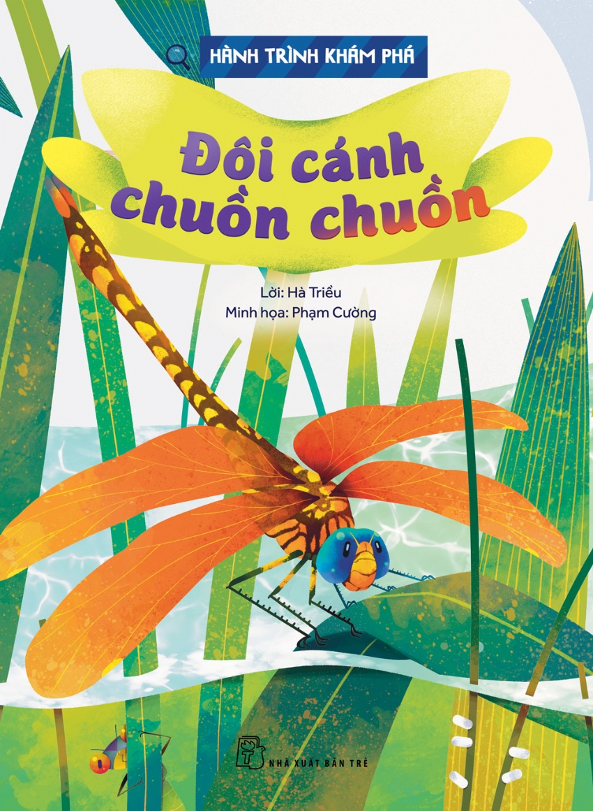 hành trình khám phá - đôi cánh chuồn chuồn - Ảnh 2