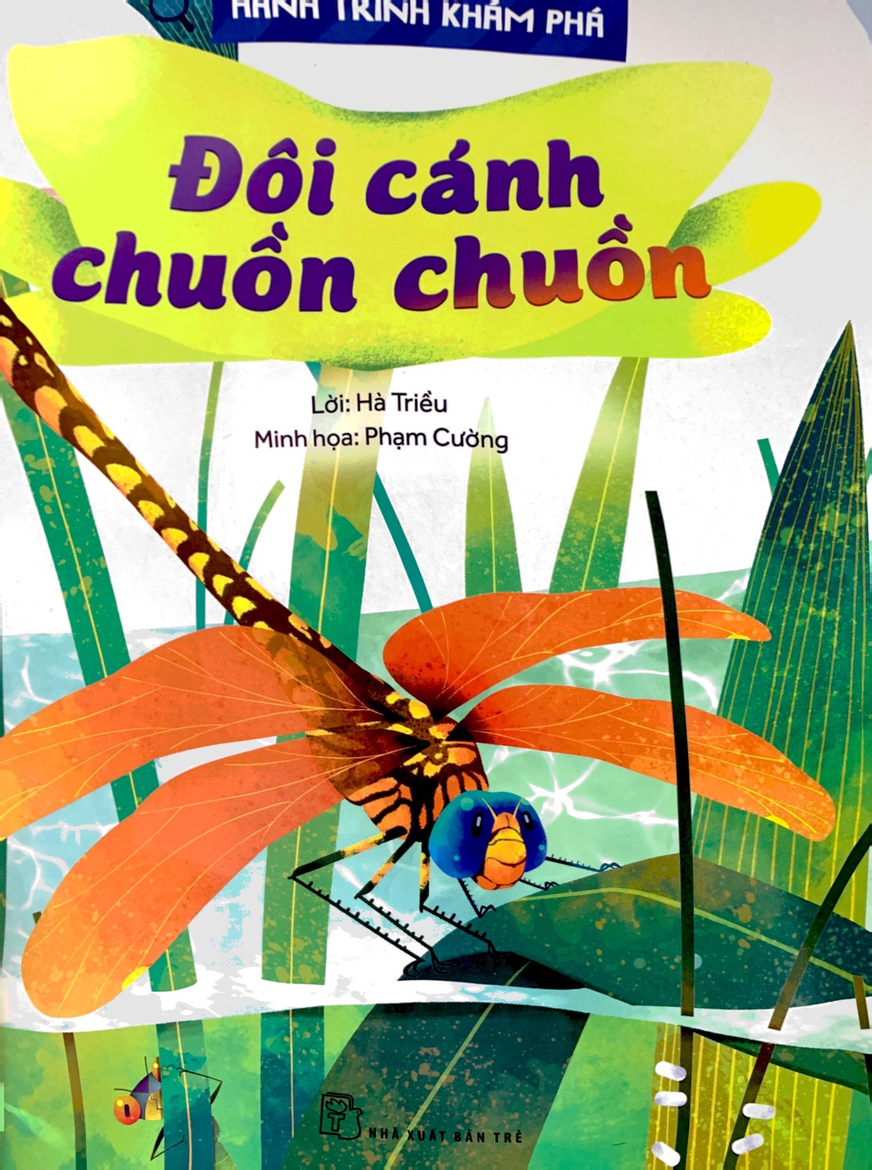 hành trình khám phá - đôi cánh chuồn chuồn - Ảnh 3