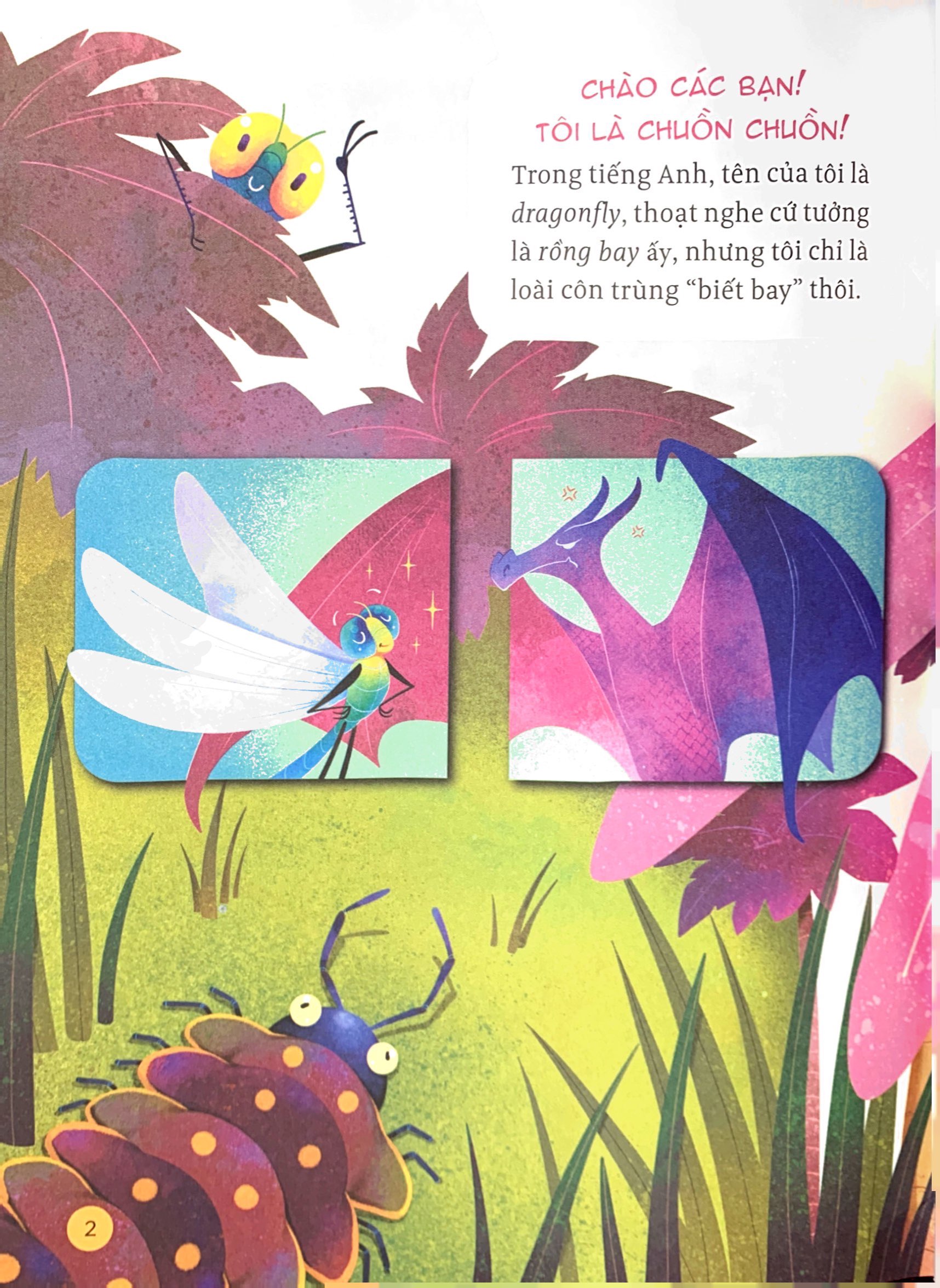 hành trình khám phá - đôi cánh chuồn chuồn - Ảnh 4