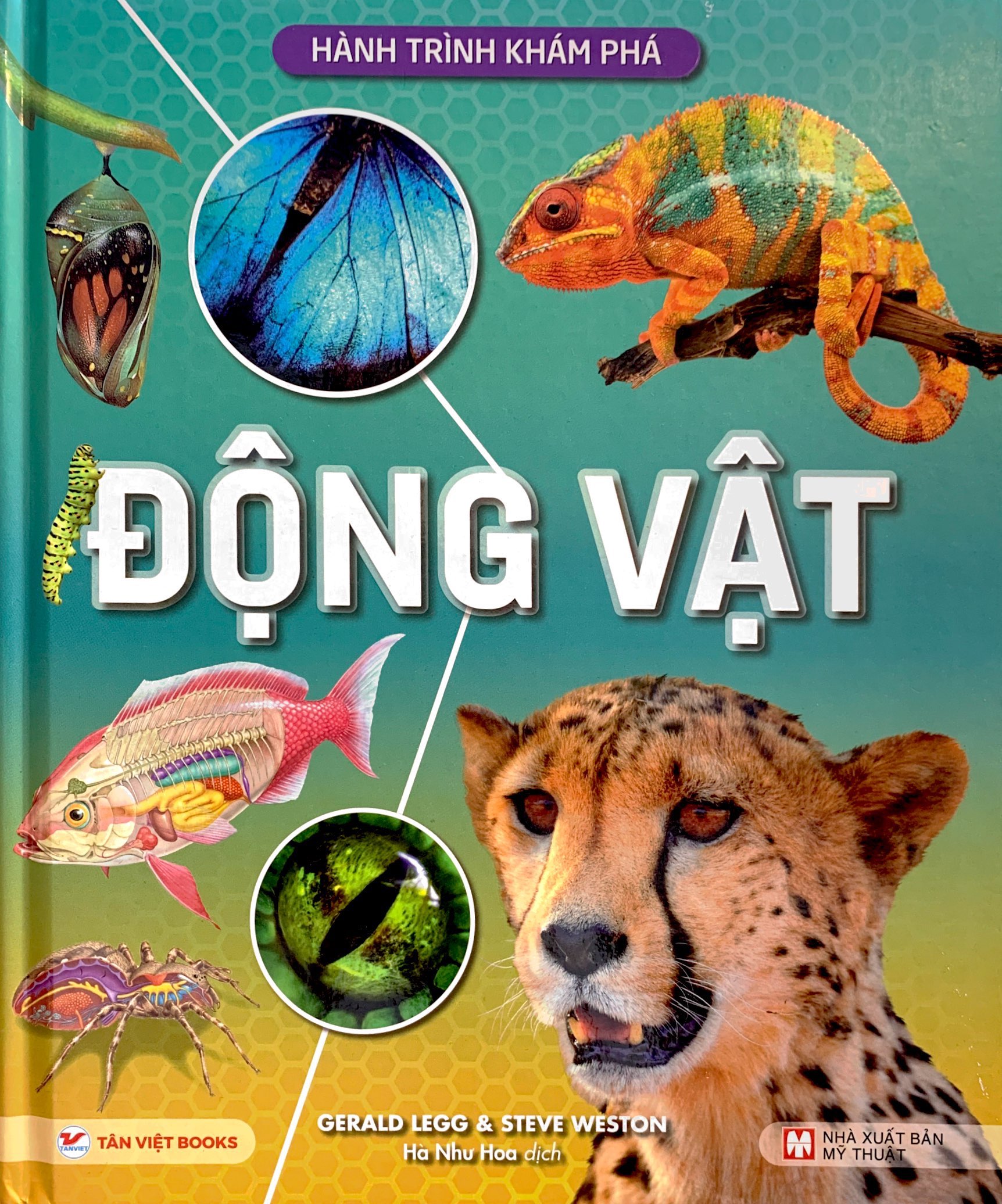 hành trình khám phá - động vật - bìa cứng - Ảnh 2