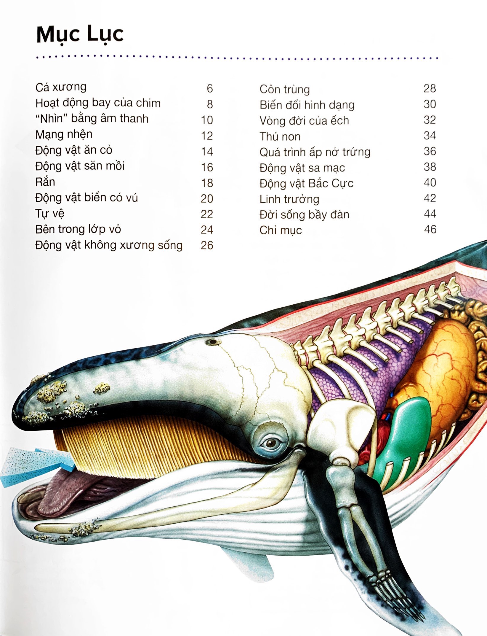 hành trình khám phá - động vật - bìa cứng - Ảnh 3