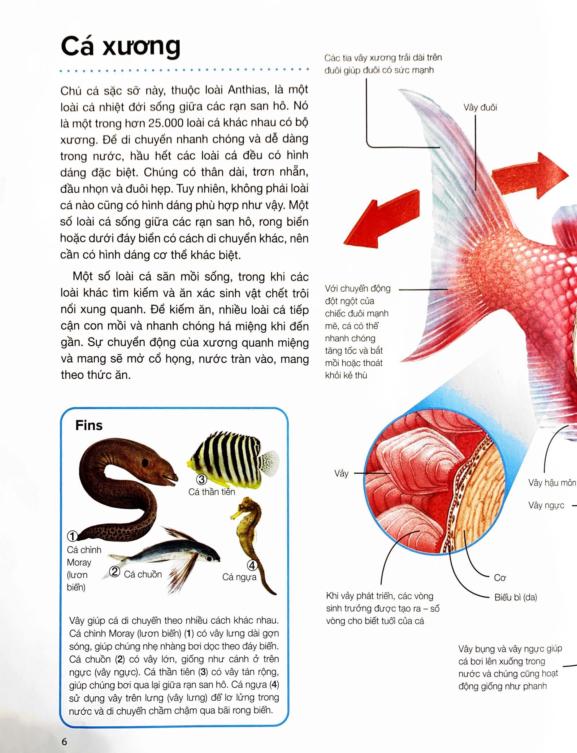hành trình khám phá - động vật - bìa cứng - Ảnh 4