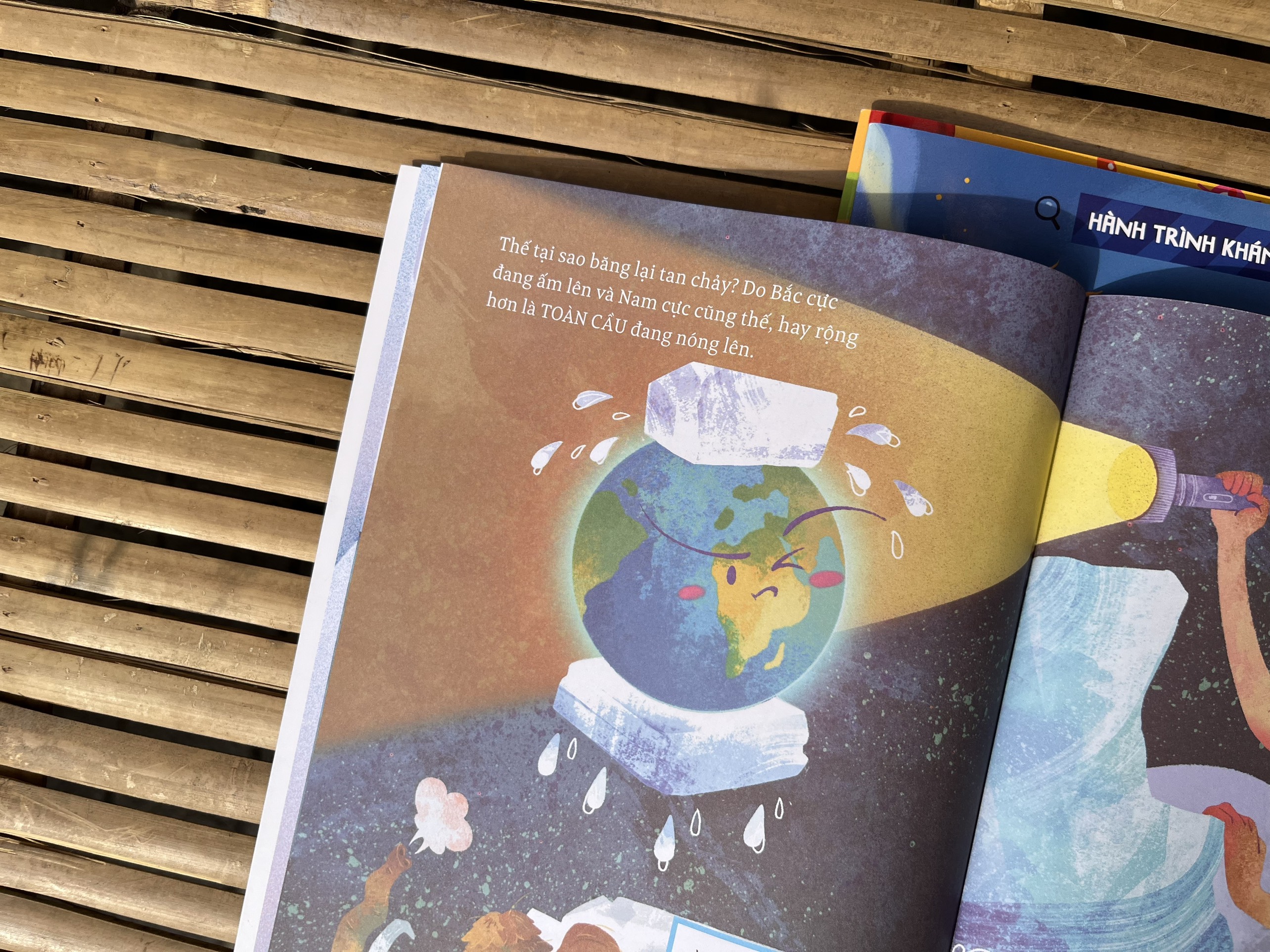 hành trình khám phá - gấu bắc cực cần băng - Ảnh 3