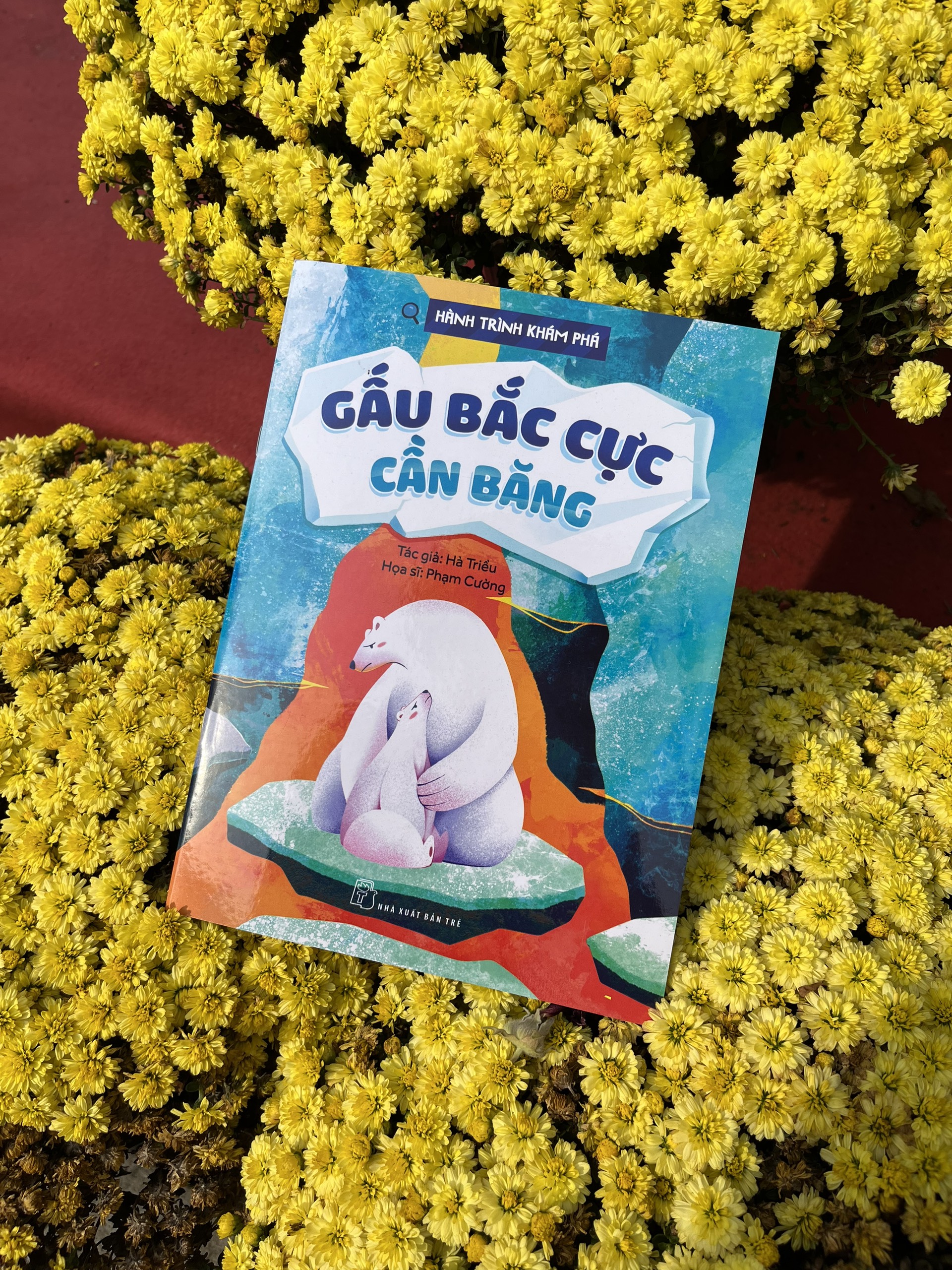 hành trình khám phá - gấu bắc cực cần băng - Ảnh 5