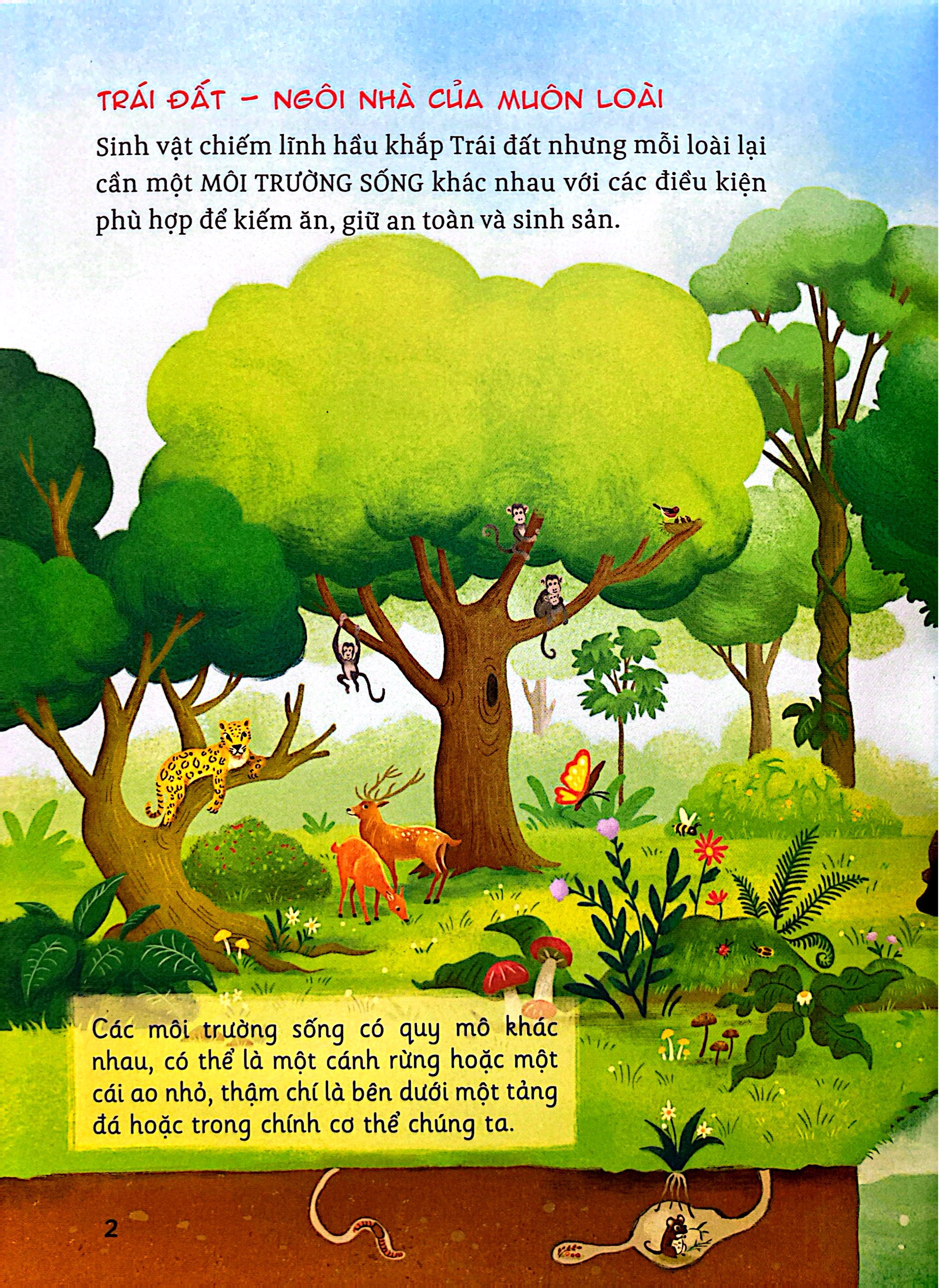 Hành Trình Khám Phá - Hệ Sinh Thái - Ảnh 3