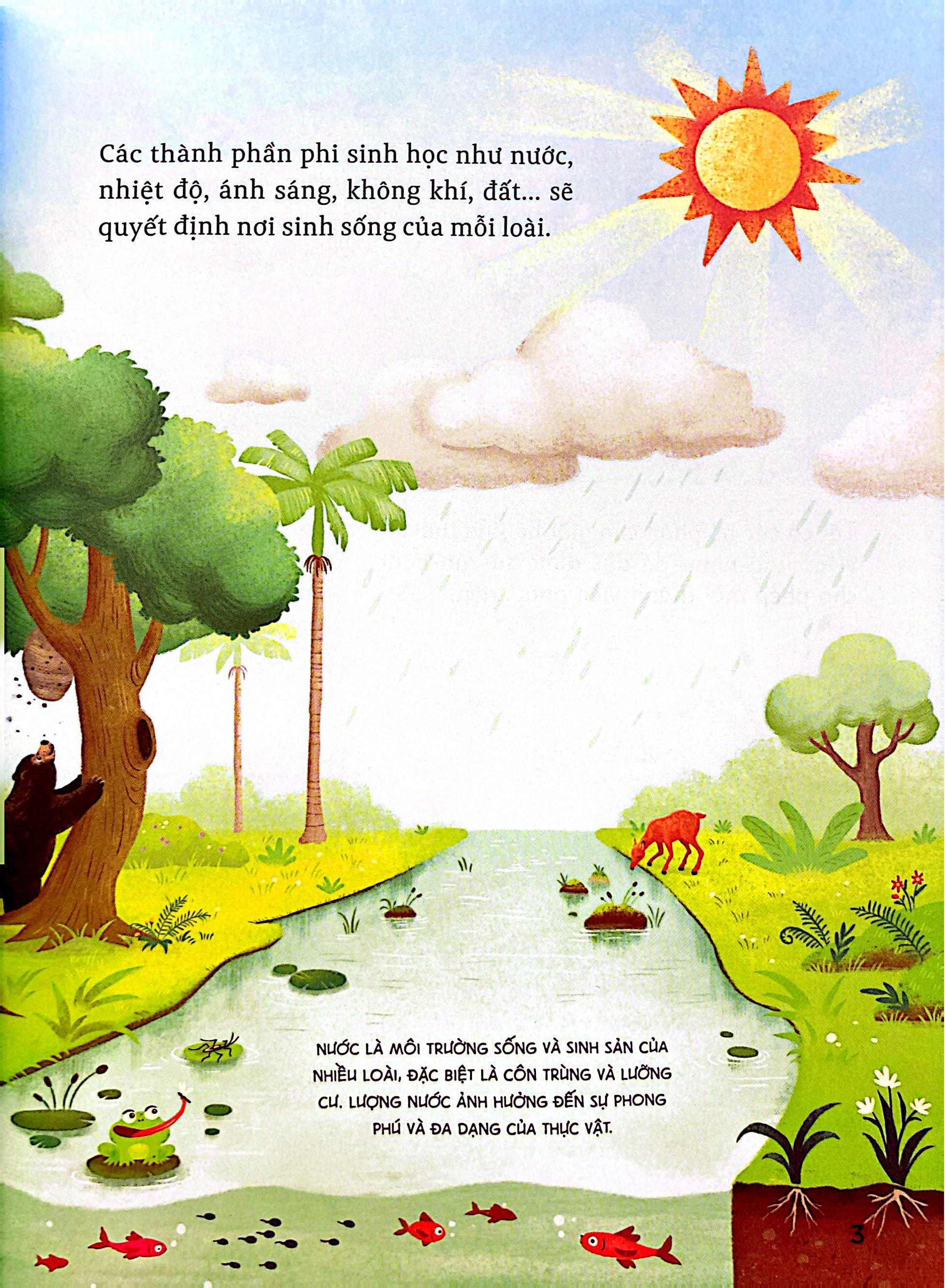 Hành Trình Khám Phá - Hệ Sinh Thái - Ảnh 4