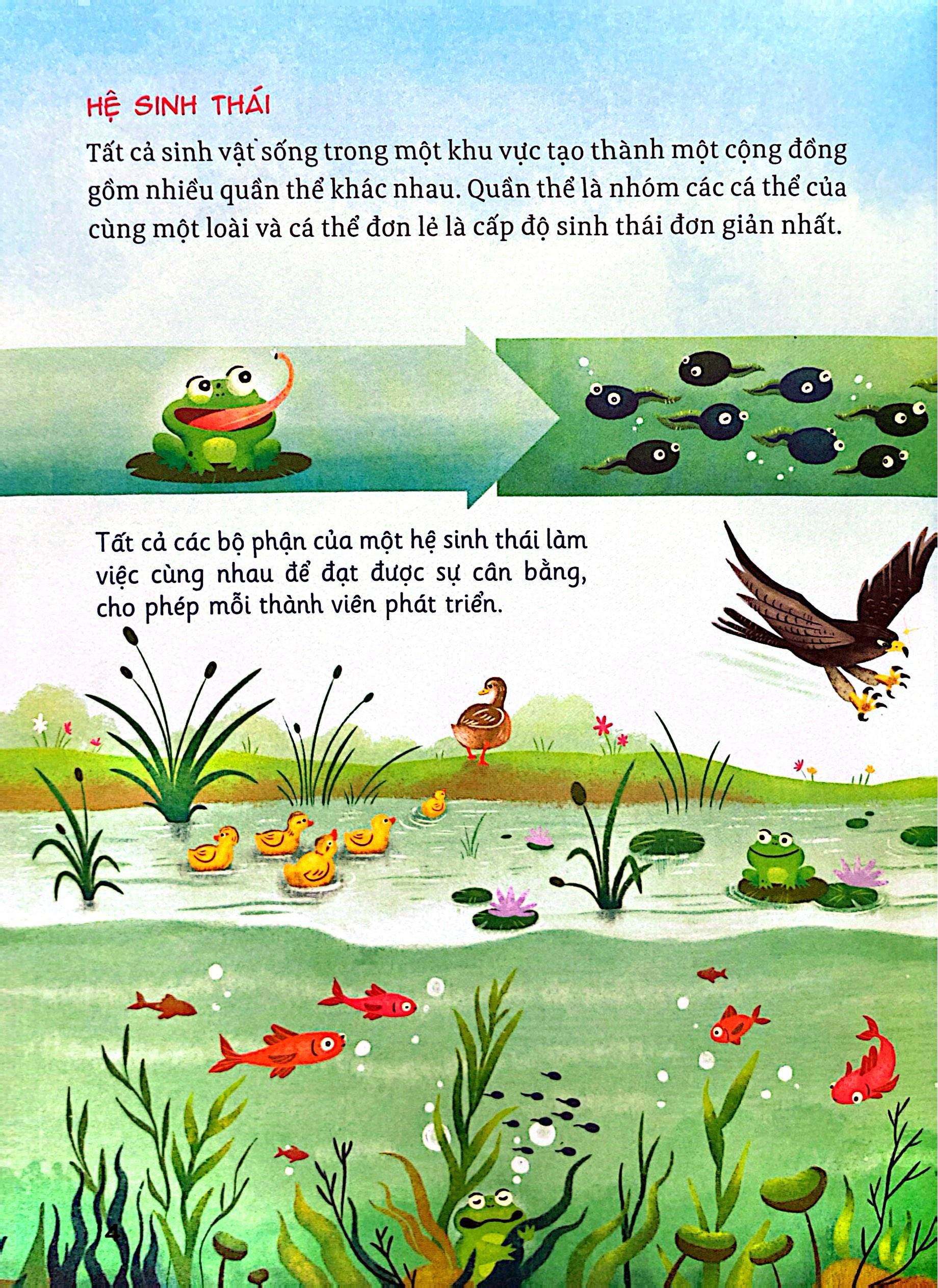 Hành Trình Khám Phá - Hệ Sinh Thái - Ảnh 5