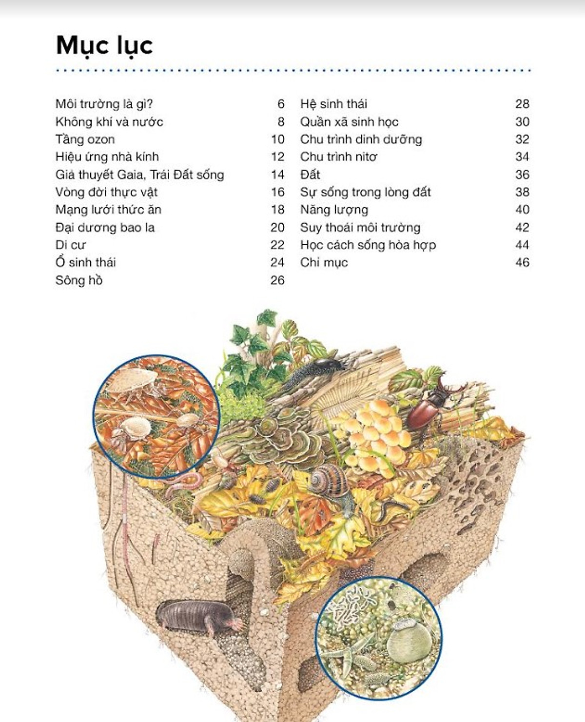 hành trình khám phá - môi trường - bìa cứng - Ảnh 3