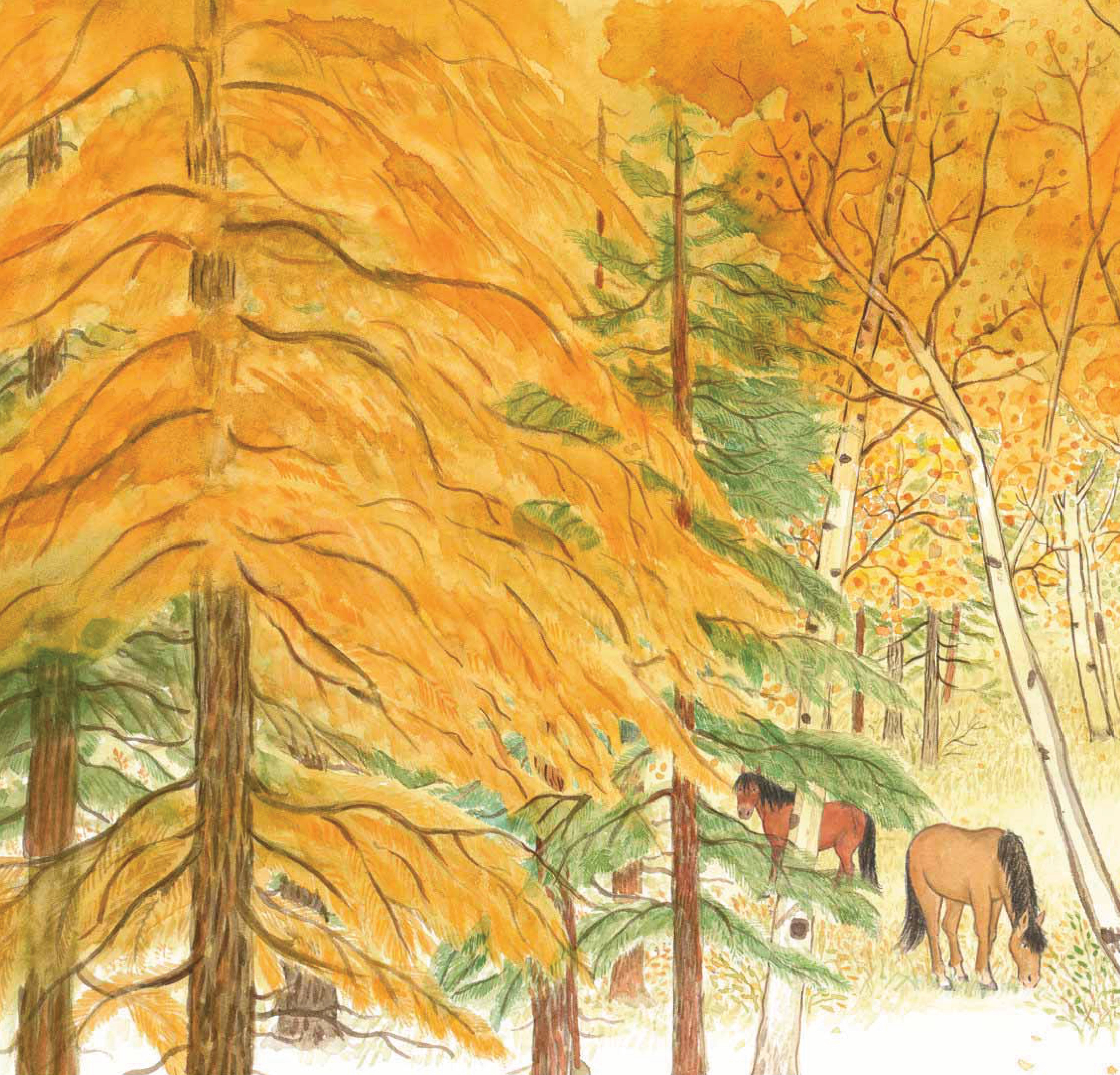 hành trình tìm gấu - bìa cứng - Ảnh 3