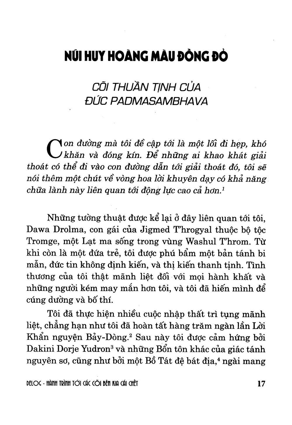 hành trình tới cõi bên kia cái chết - Ảnh 3