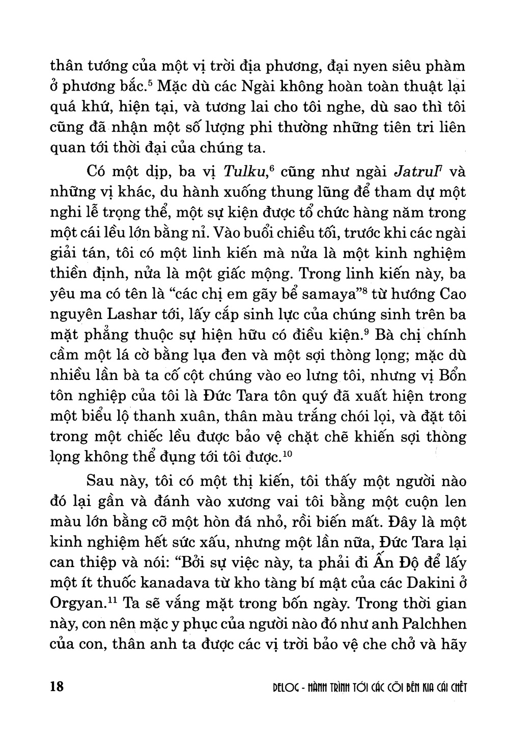 hành trình tới cõi bên kia cái chết - Ảnh 4