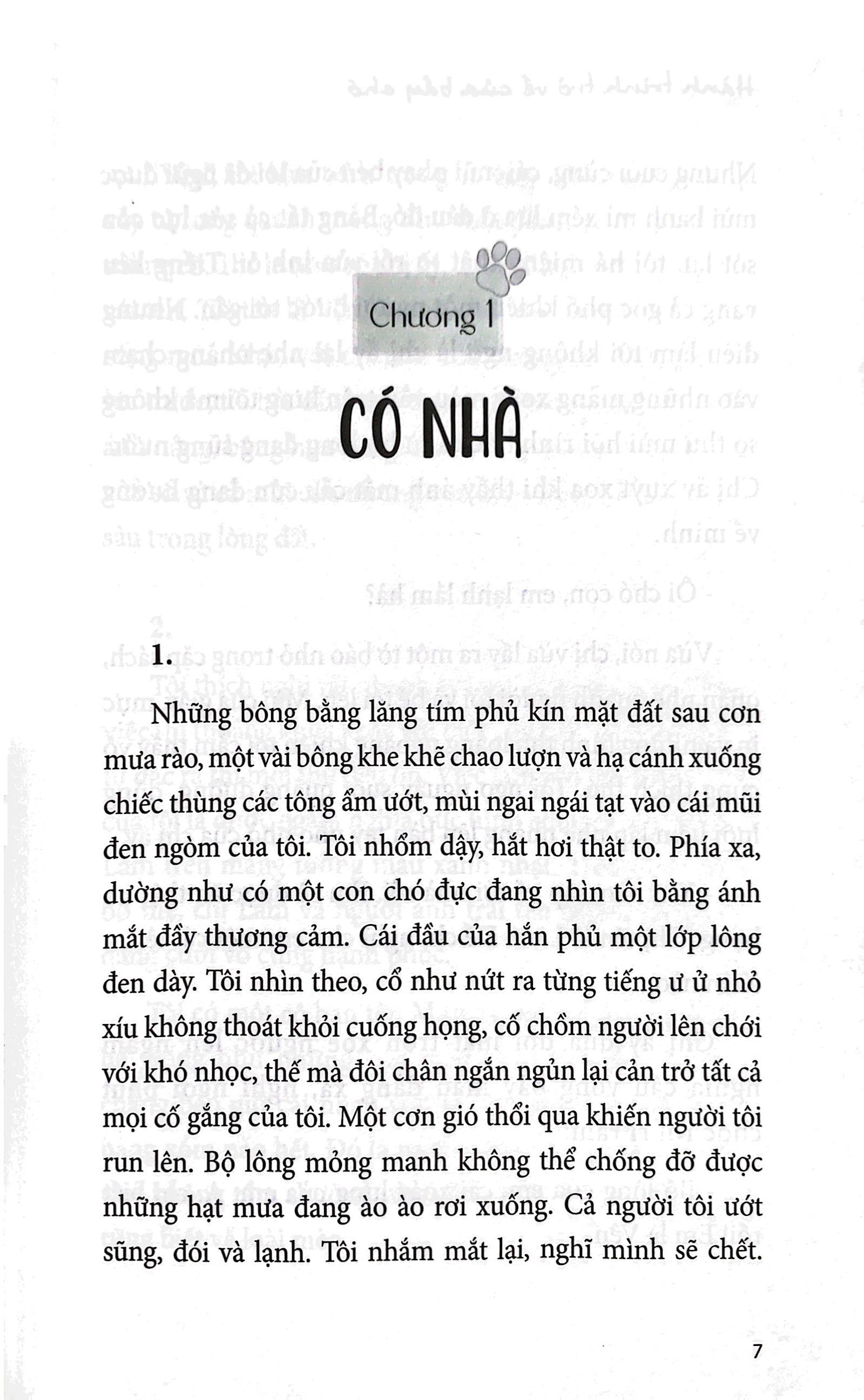 hành trình trở về của bầy chó - Ảnh 5