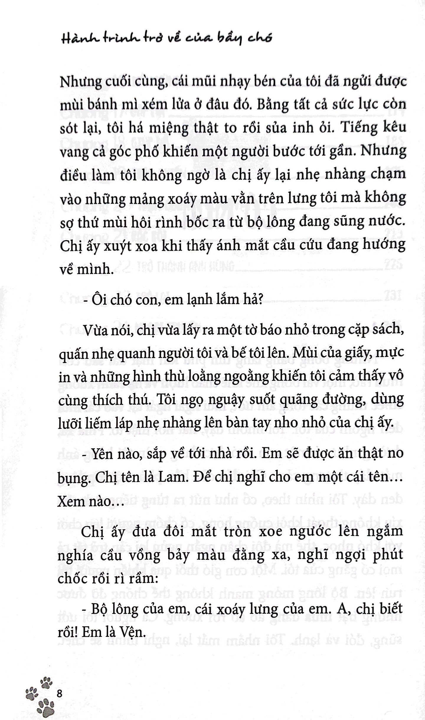 hành trình trở về của bầy chó - Ảnh 6