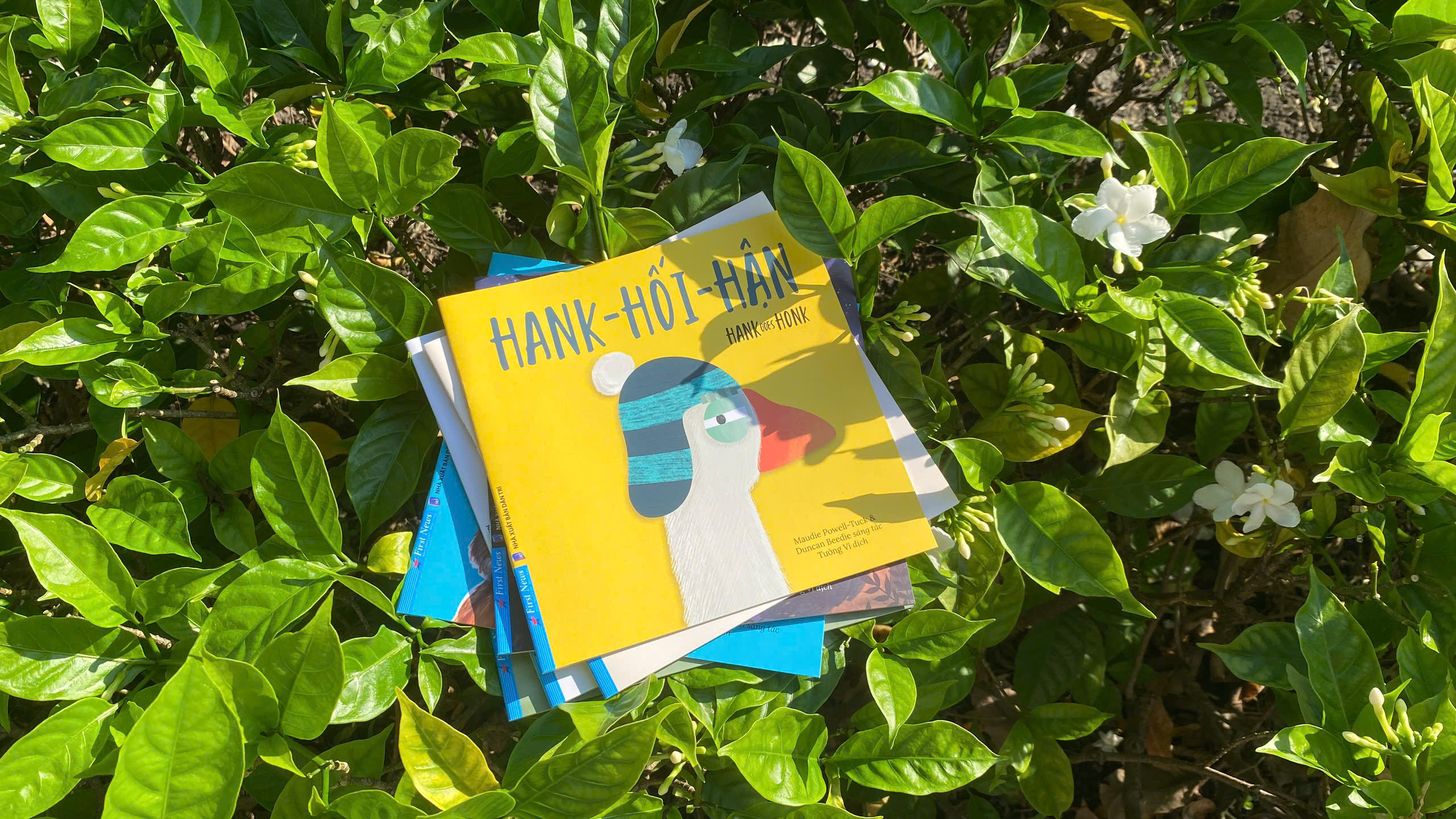 hank-hối-hận - hank goes honk - Ảnh 3