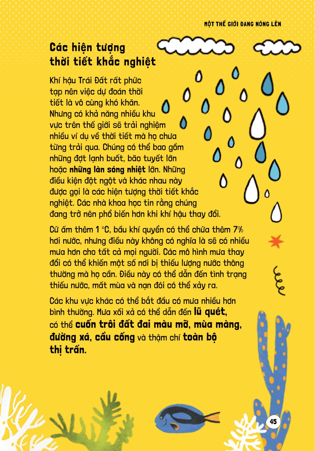 háo hức học hỏi - stem - nguyên nhân và tác động của biến đổi khí hậu… và làm thế nào để bảo vệ hành tinh của chúng ta - Ảnh 11