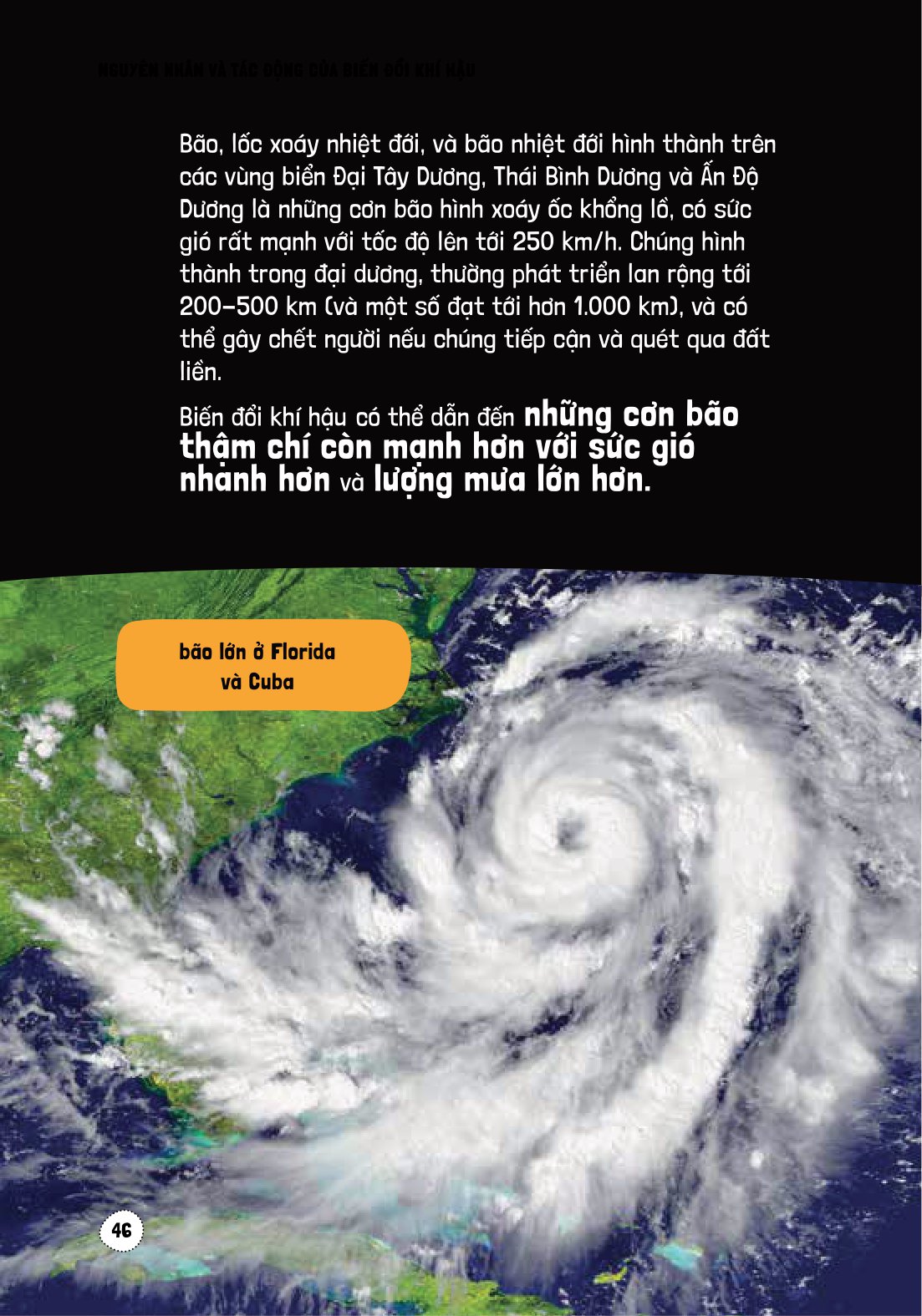 háo hức học hỏi - stem - nguyên nhân và tác động của biến đổi khí hậu… và làm thế nào để bảo vệ hành tinh của chúng ta - Ảnh 12