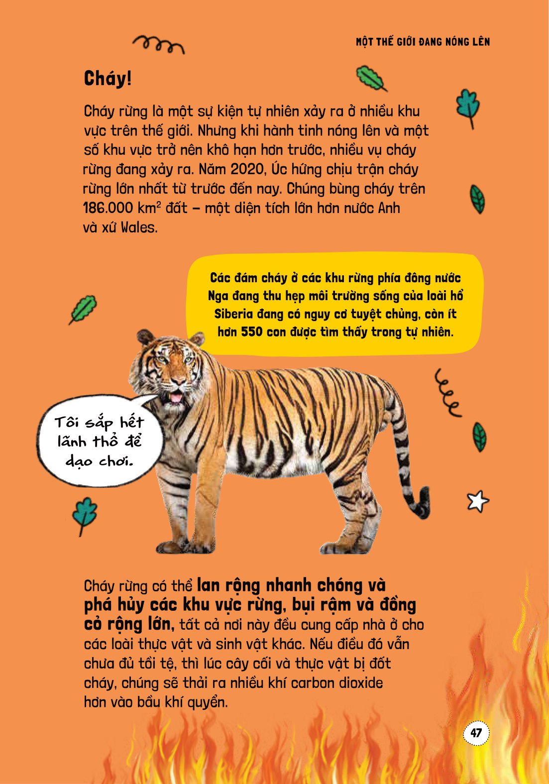 háo hức học hỏi - stem - nguyên nhân và tác động của biến đổi khí hậu… và làm thế nào để bảo vệ hành tinh của chúng ta - Ảnh 13