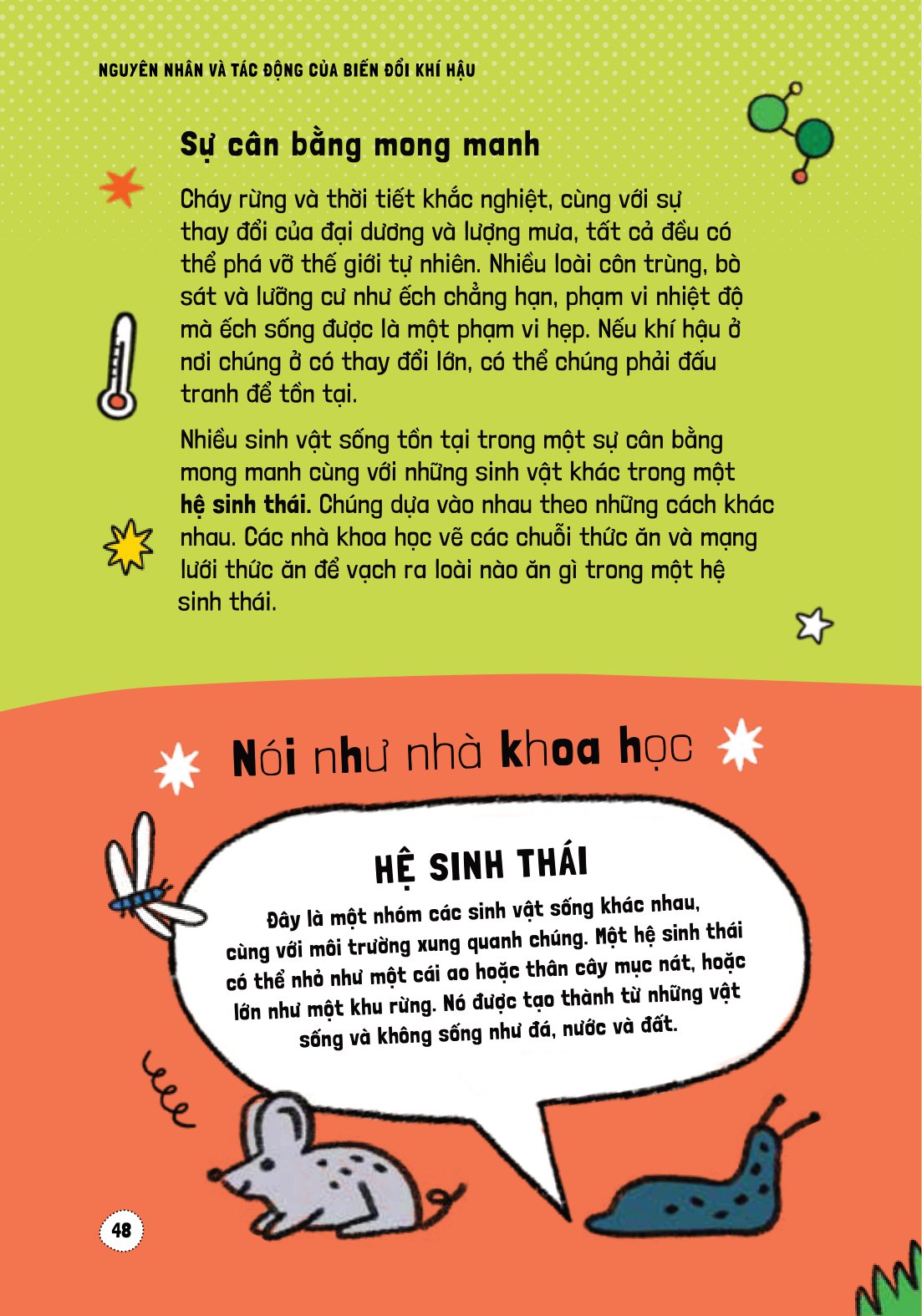 háo hức học hỏi - stem - nguyên nhân và tác động của biến đổi khí hậu… và làm thế nào để bảo vệ hành tinh của chúng ta - Ảnh 14