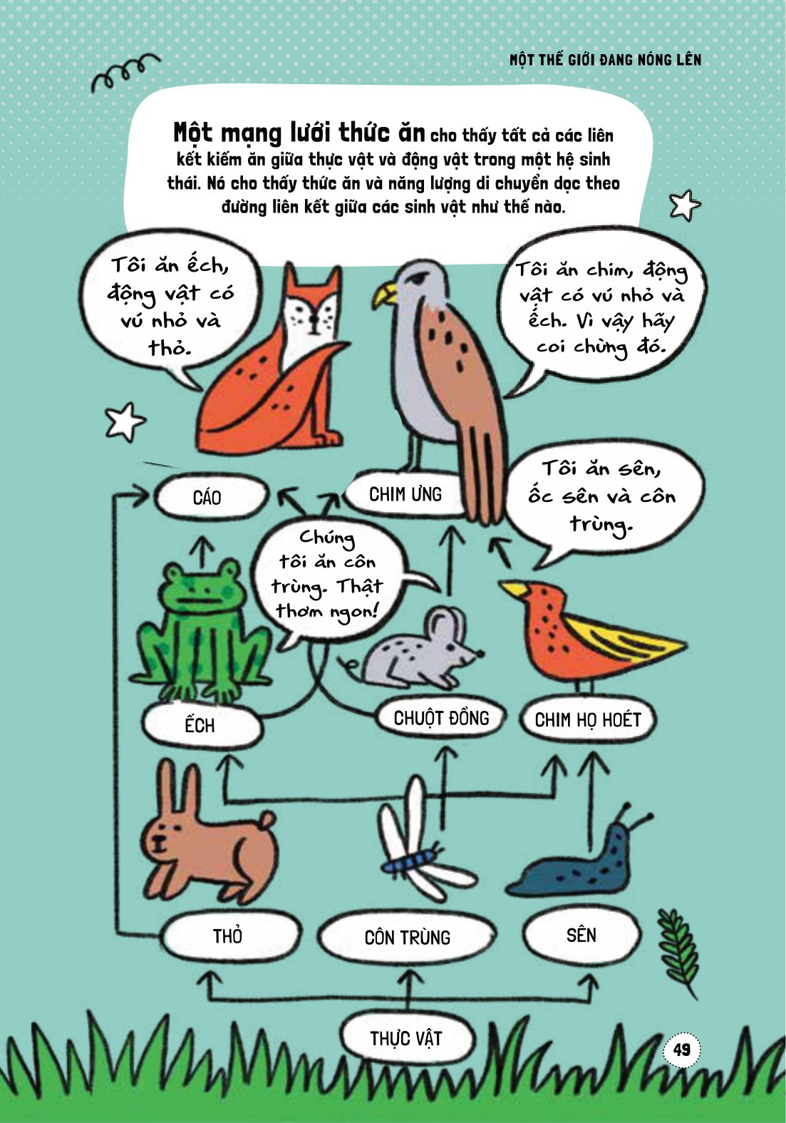 háo hức học hỏi - stem - nguyên nhân và tác động của biến đổi khí hậu… và làm thế nào để bảo vệ hành tinh của chúng ta - Ảnh 15